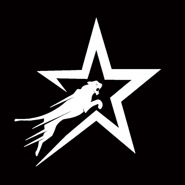 Starpedo Industry logo