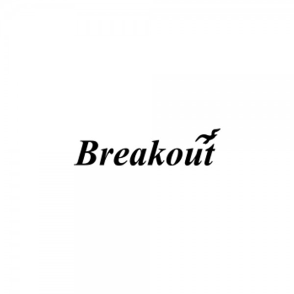 Breakout logo