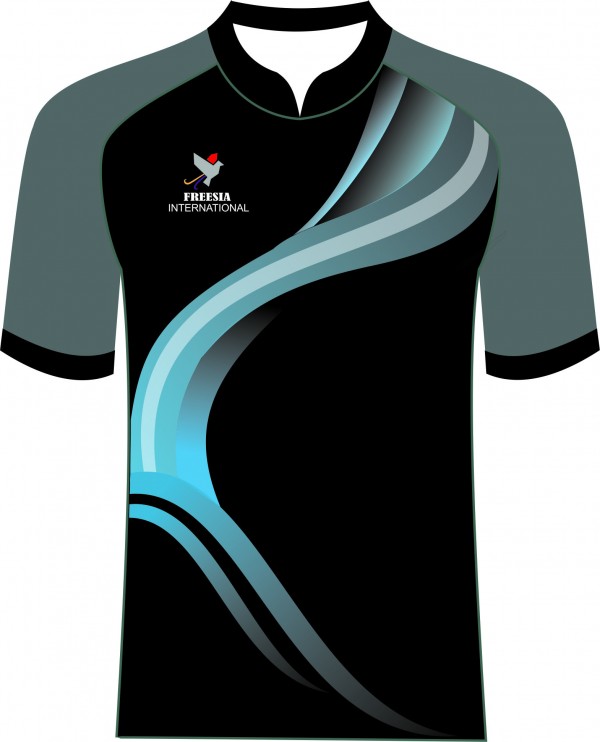 Freesianinternatinal Sports logo