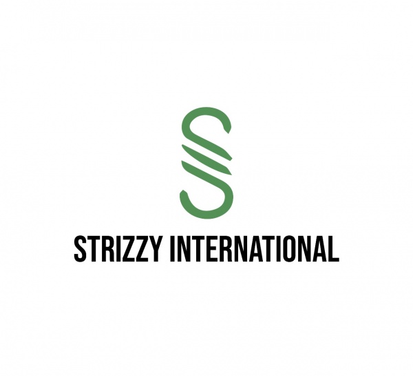Strizzy International logo