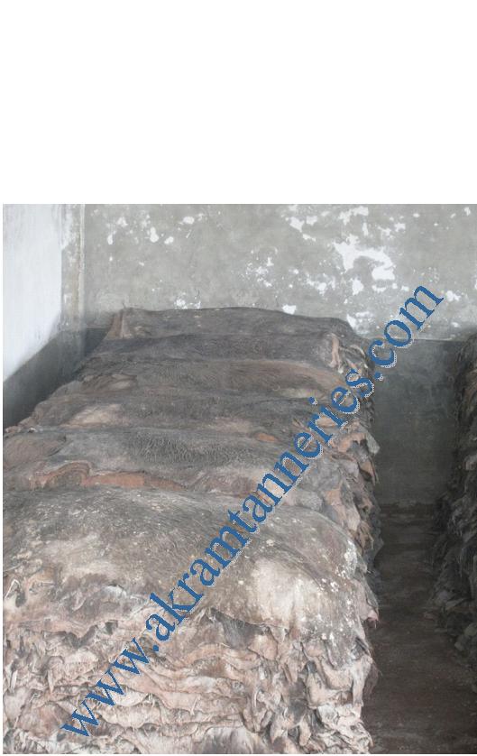 Akram Tannery logo