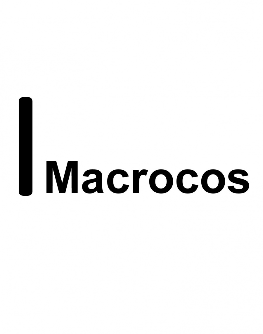 Macrocos International logo