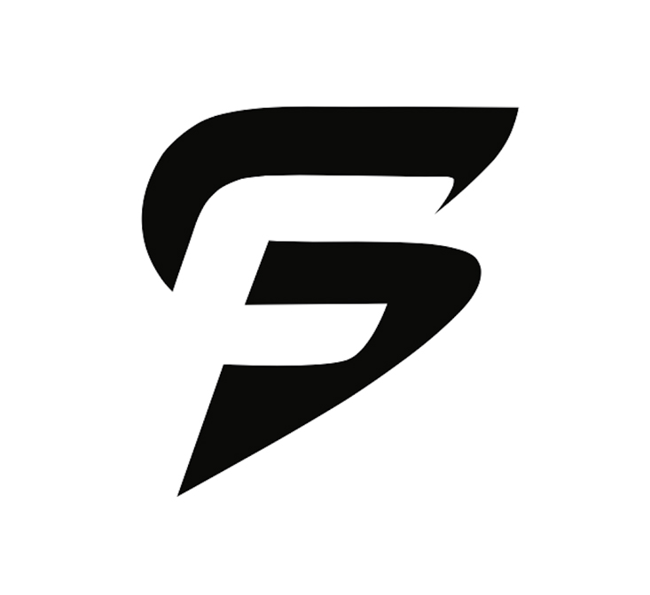 Solid Fighter logo