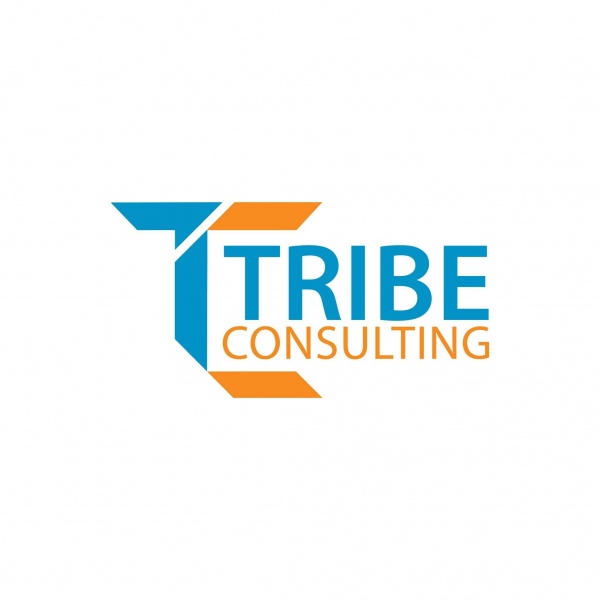 Tribe Consulting Pvt Ltd logo