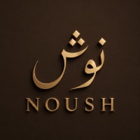 Noush logo
