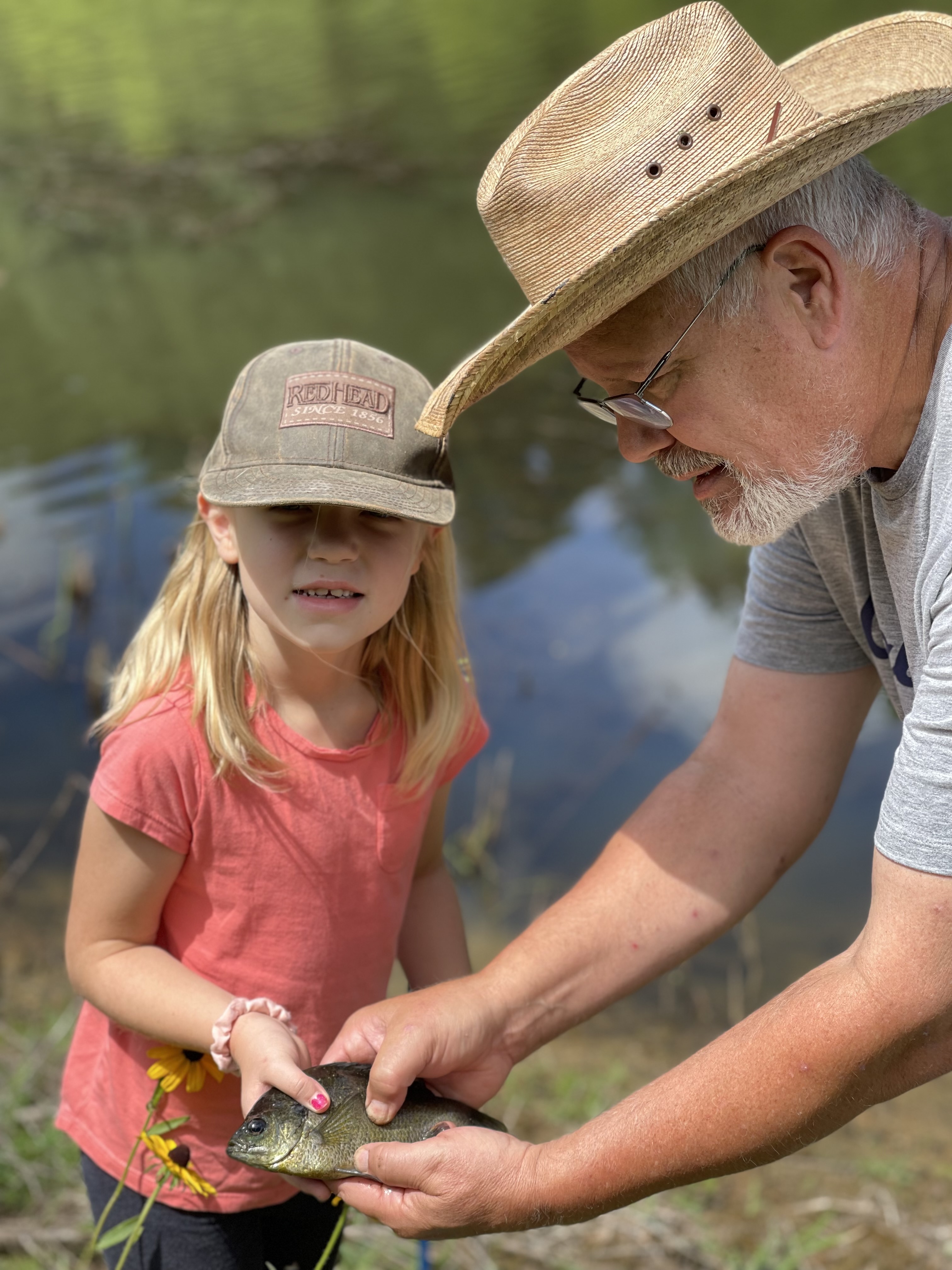 Fish caught at Hillcrest Farm