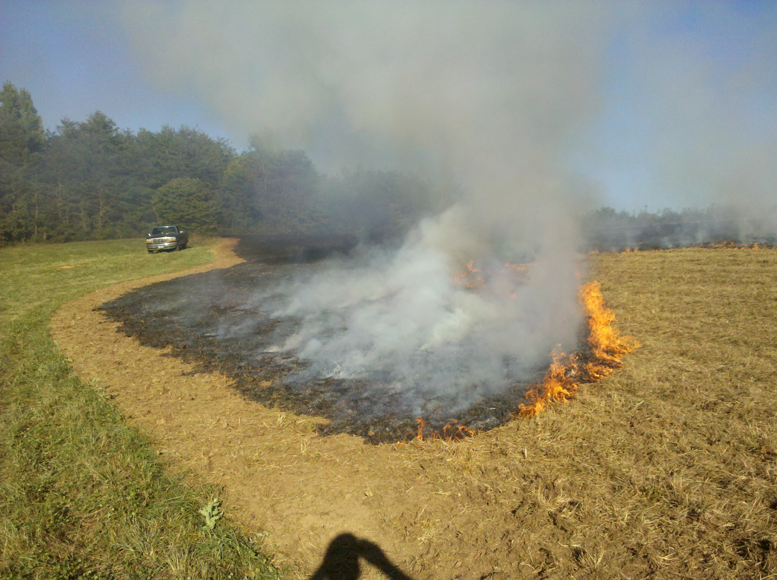 Hillcrest habitat management photo