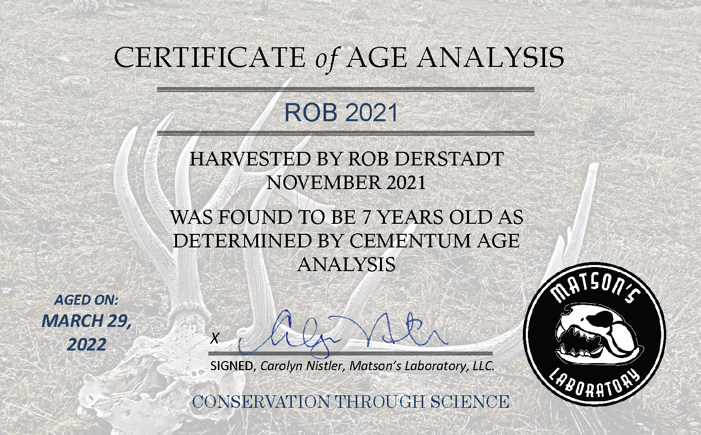 Rob Derstadt age certificate