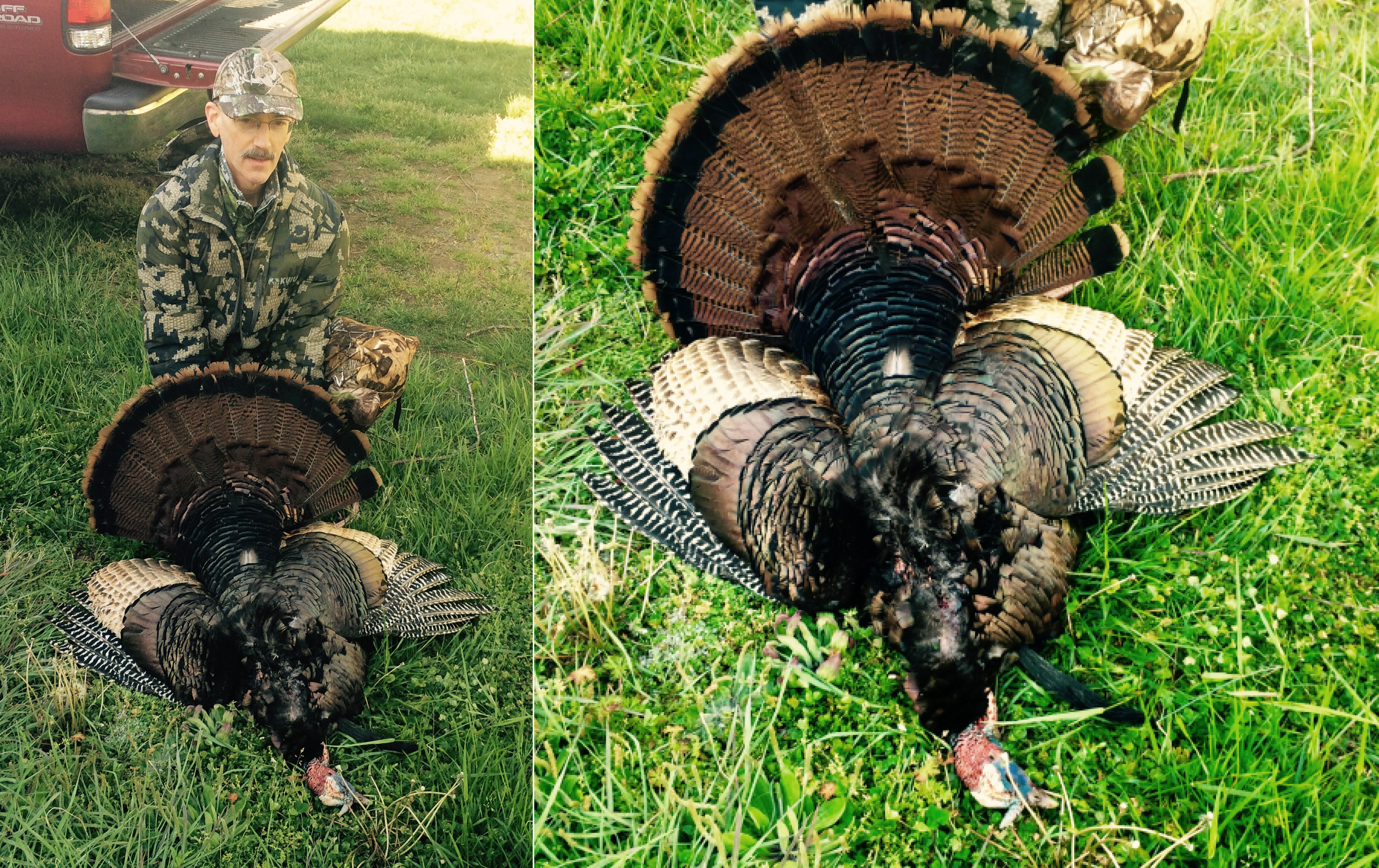 Dr. Christopher trophy spring gobbler