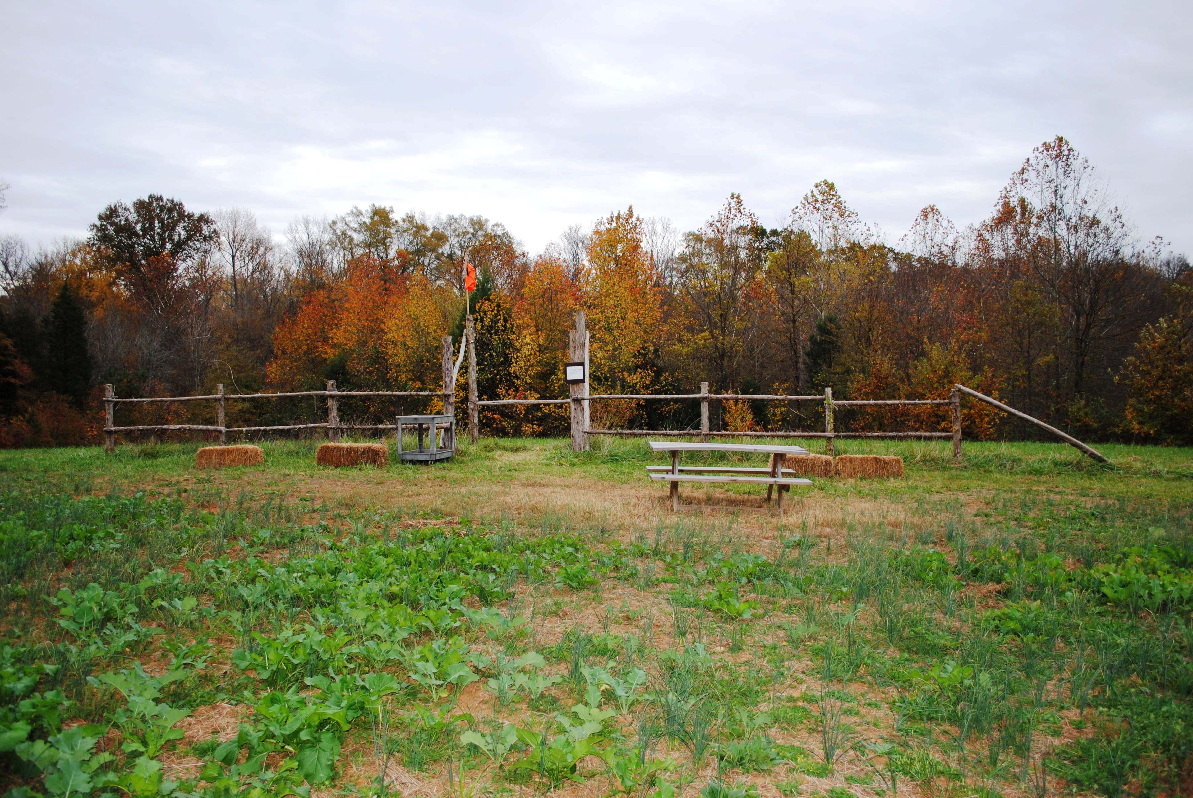 Hillcrest sporting-clays setup