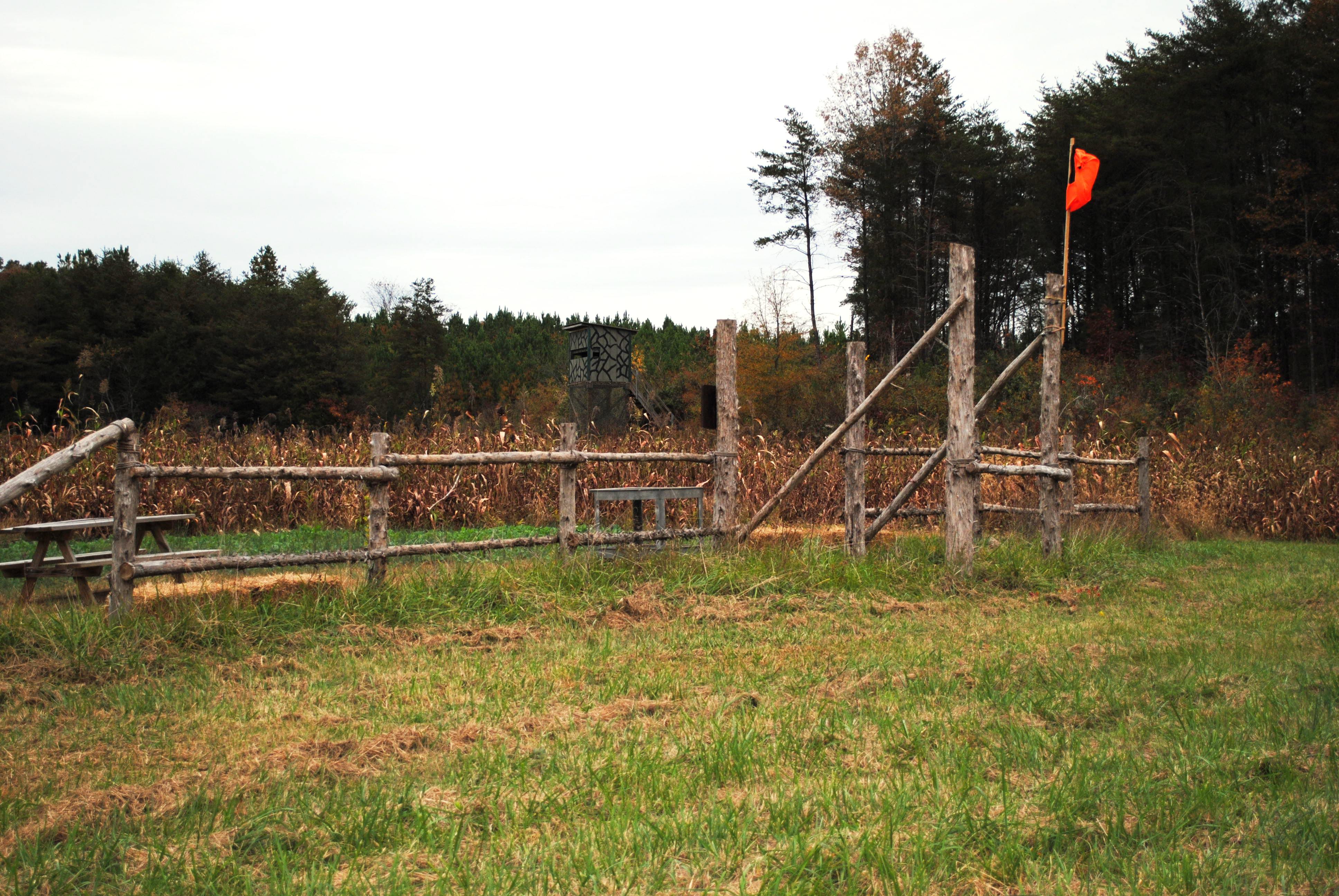 Clay-pigeon range at Hillcrest