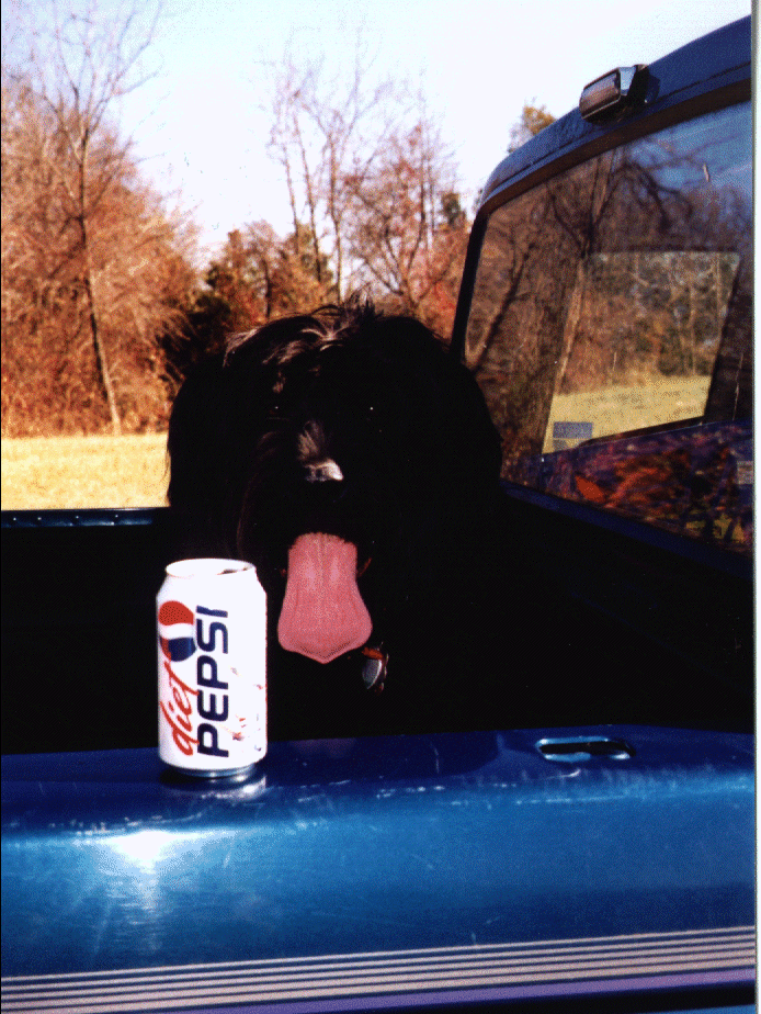 Blackie and Pepsi