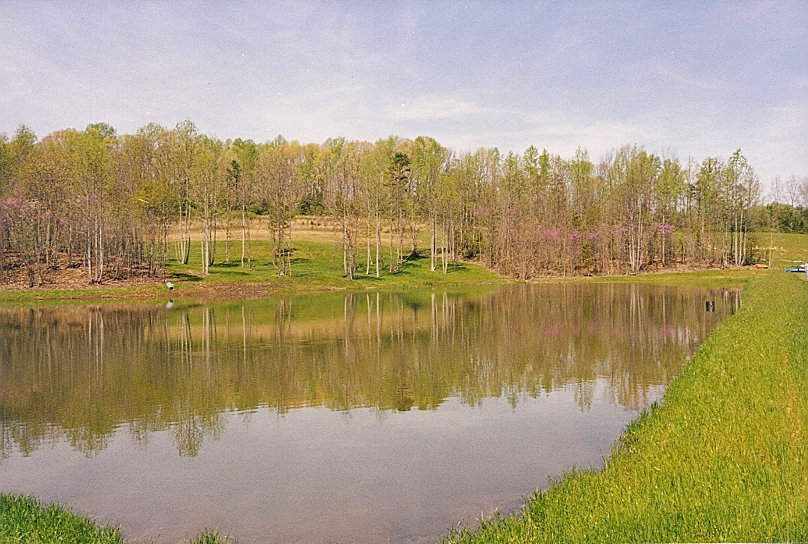 Early Hillcrest pond and dam