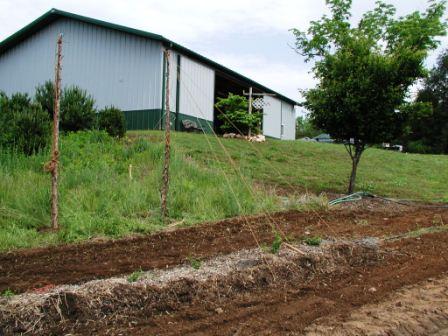 Hillcrest homesite photograph
