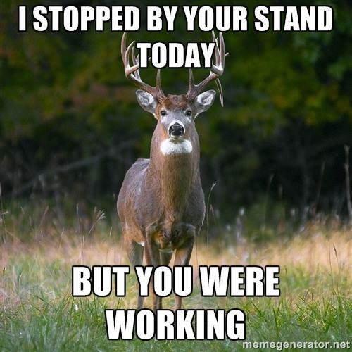 Hillcrest hunting page welcome image