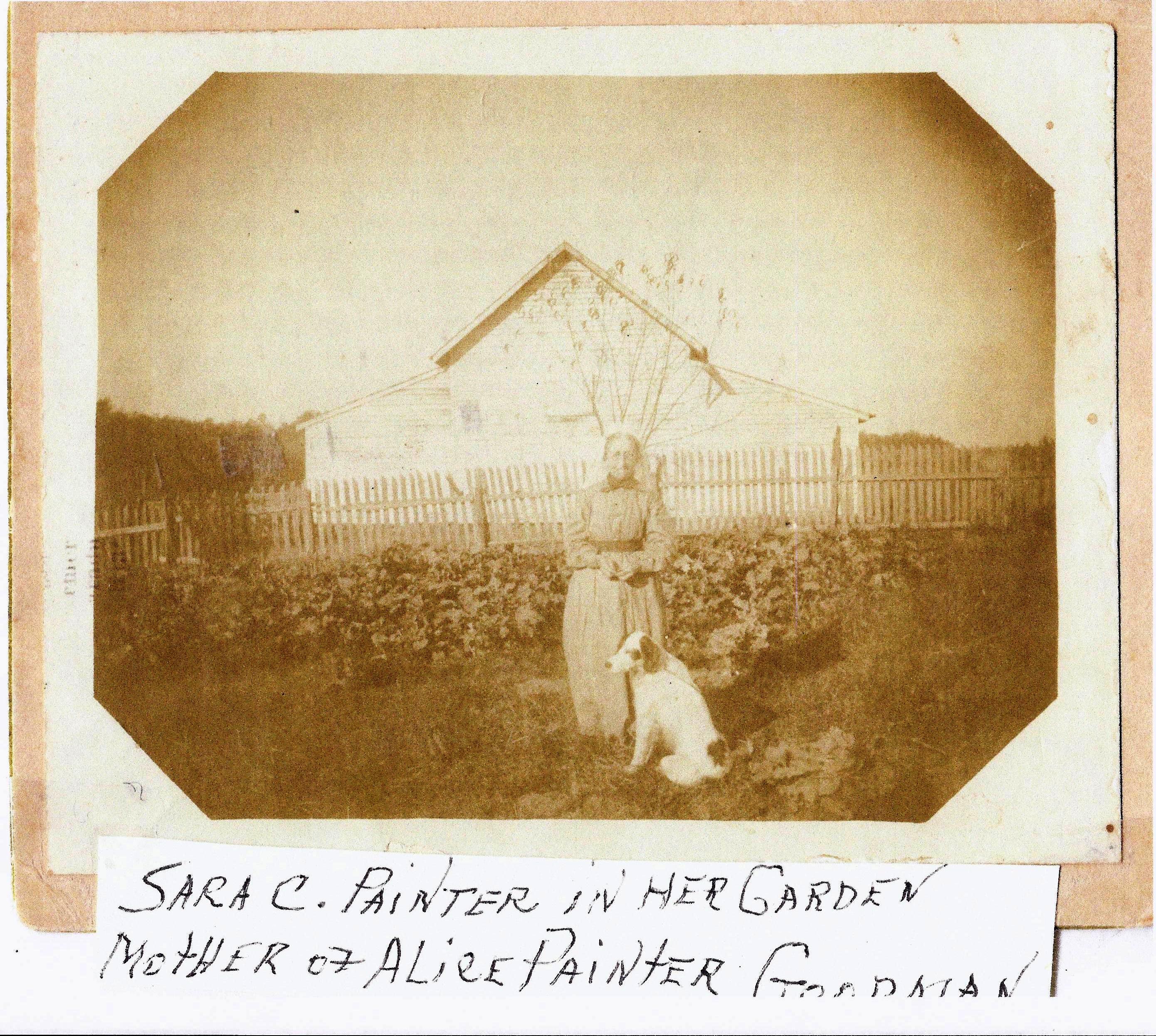 Sarah Painter