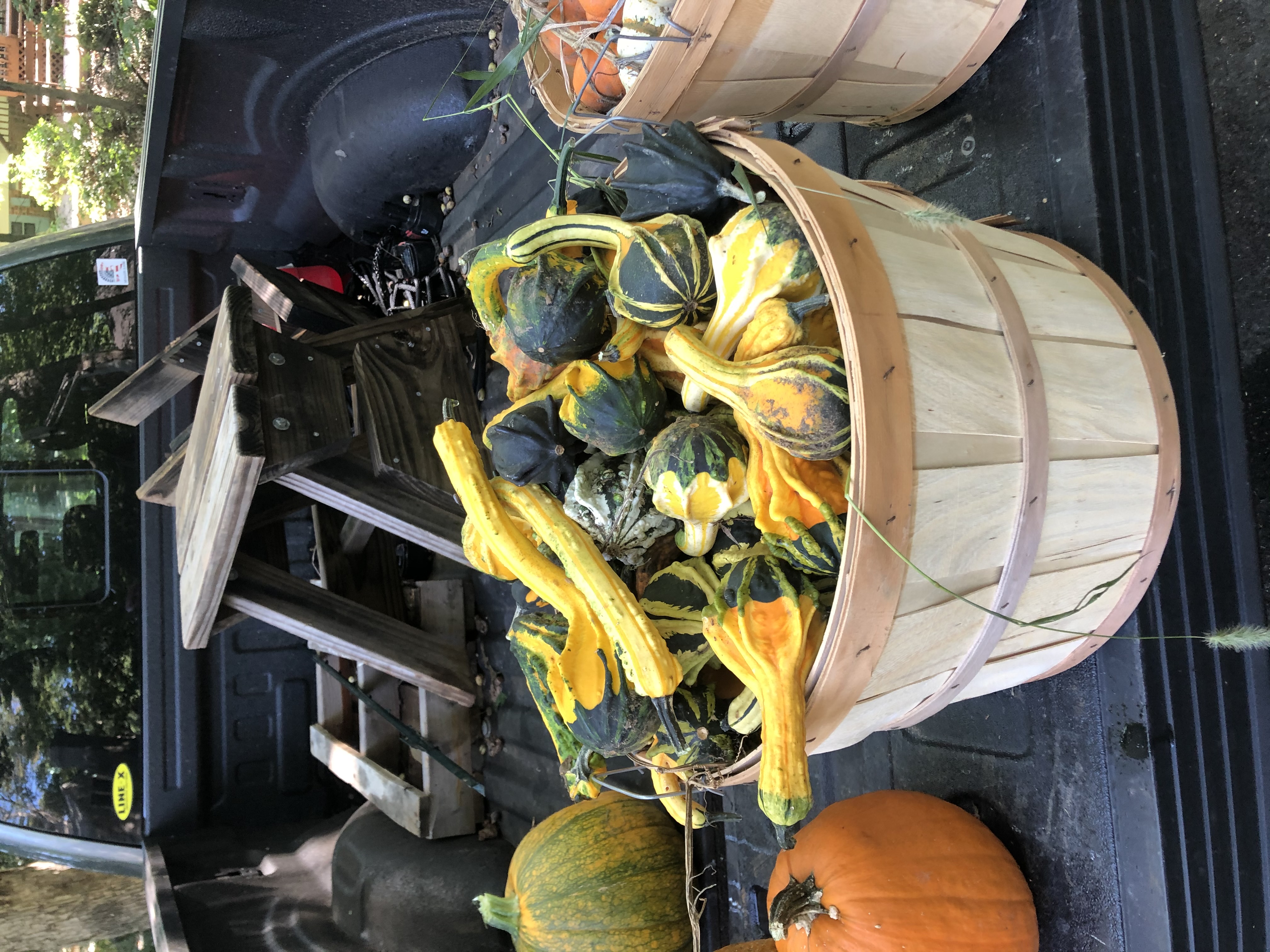 Hillcrest harvest