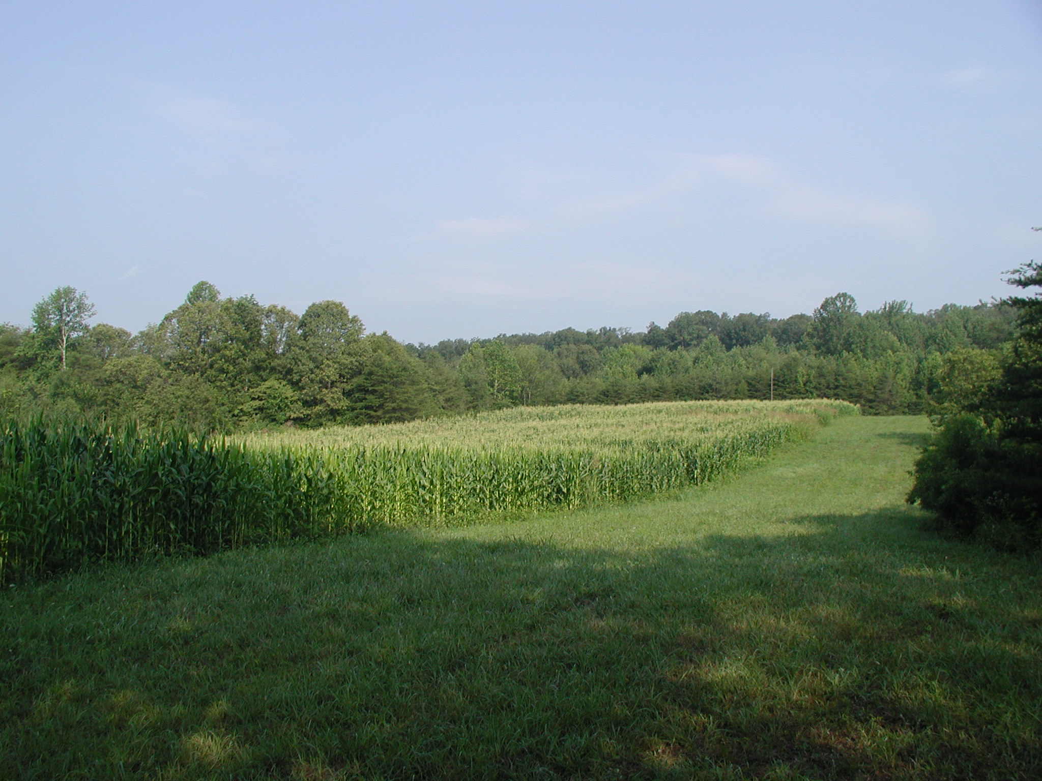 Hillcrest seasonal farm scene