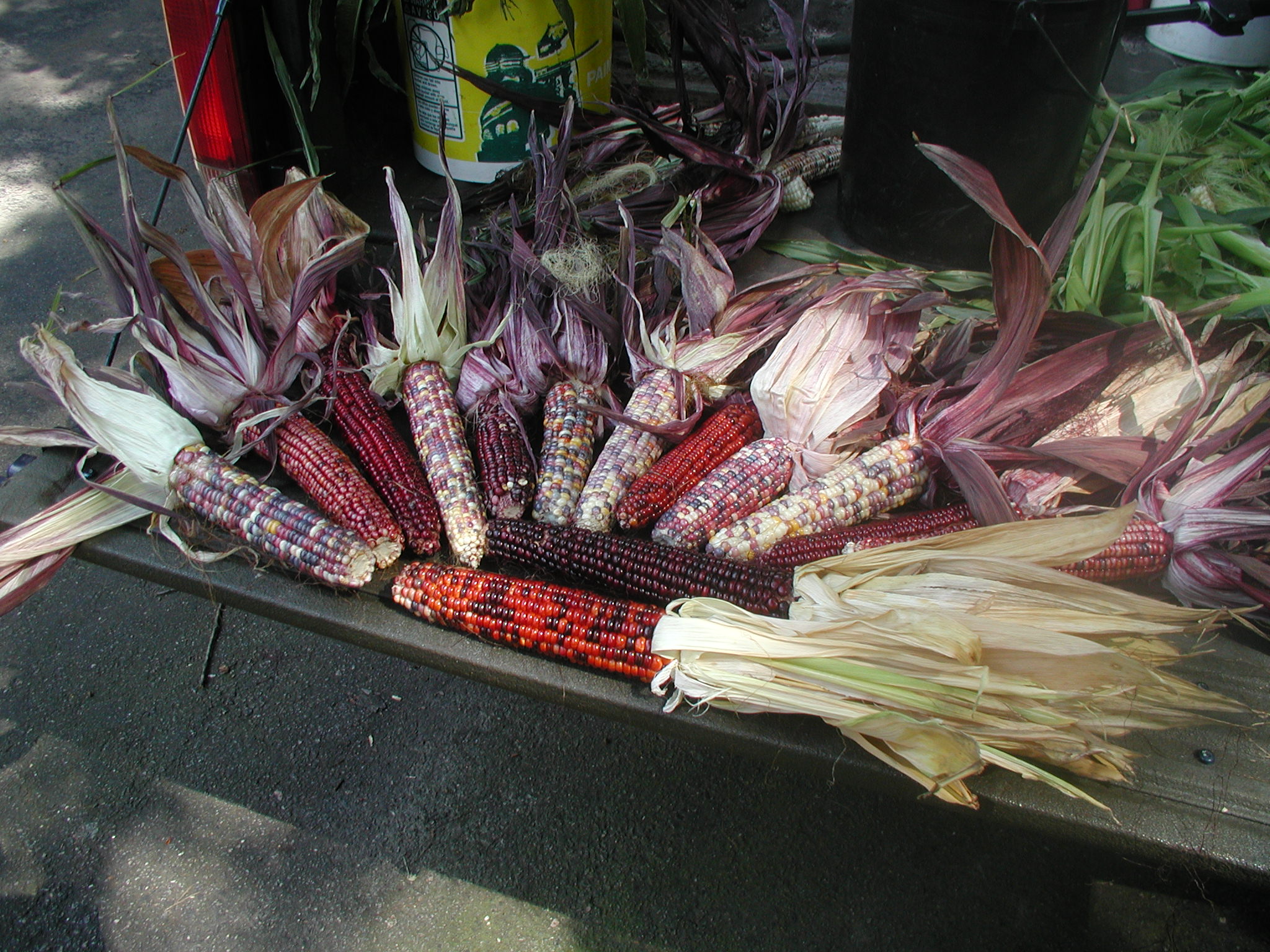Hillcrest seasonal farm scene