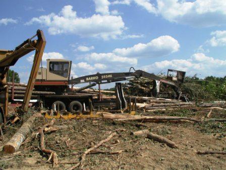 Timber harvest at Hillcrest