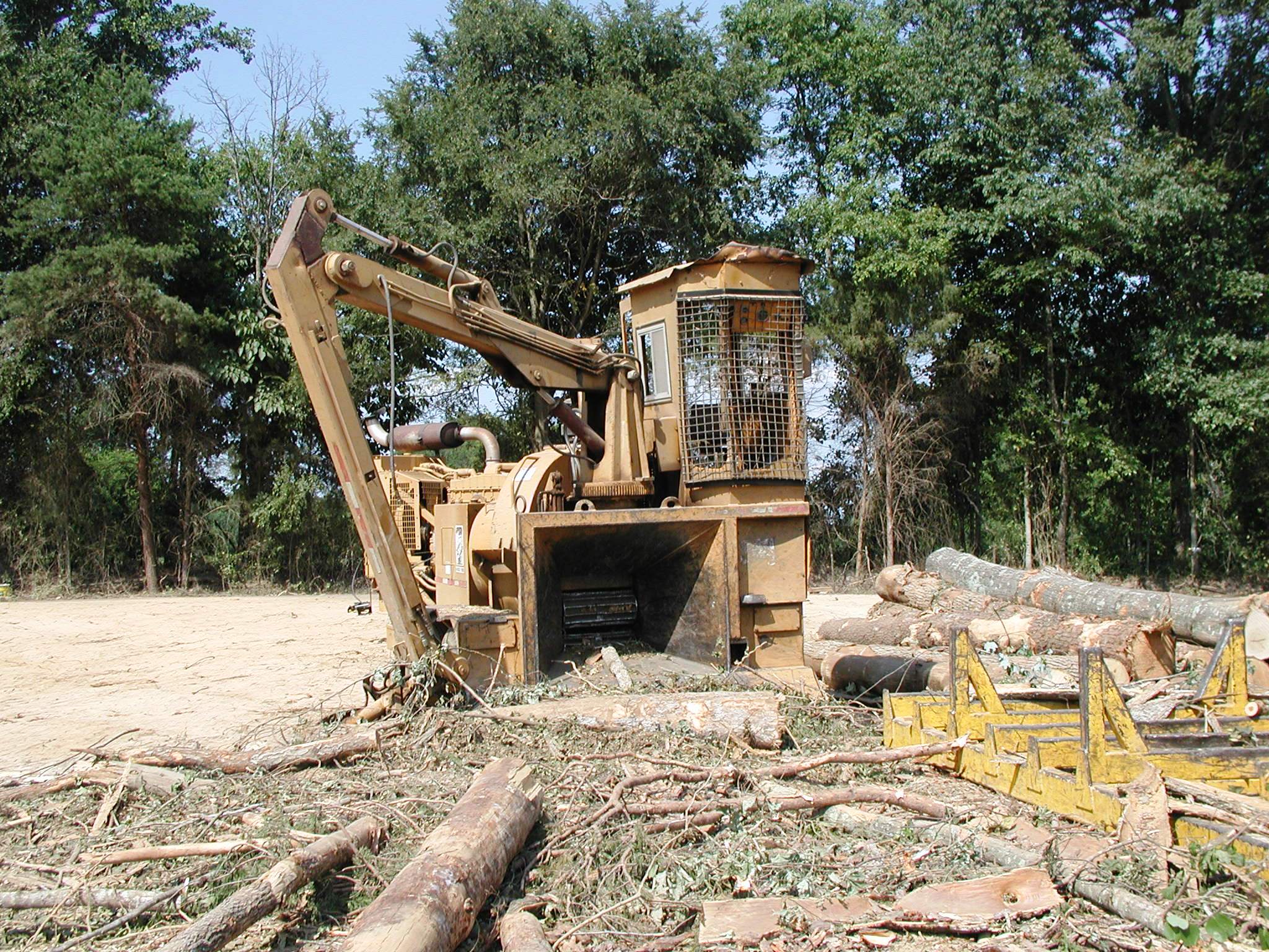 Timber harvest at Hillcrest