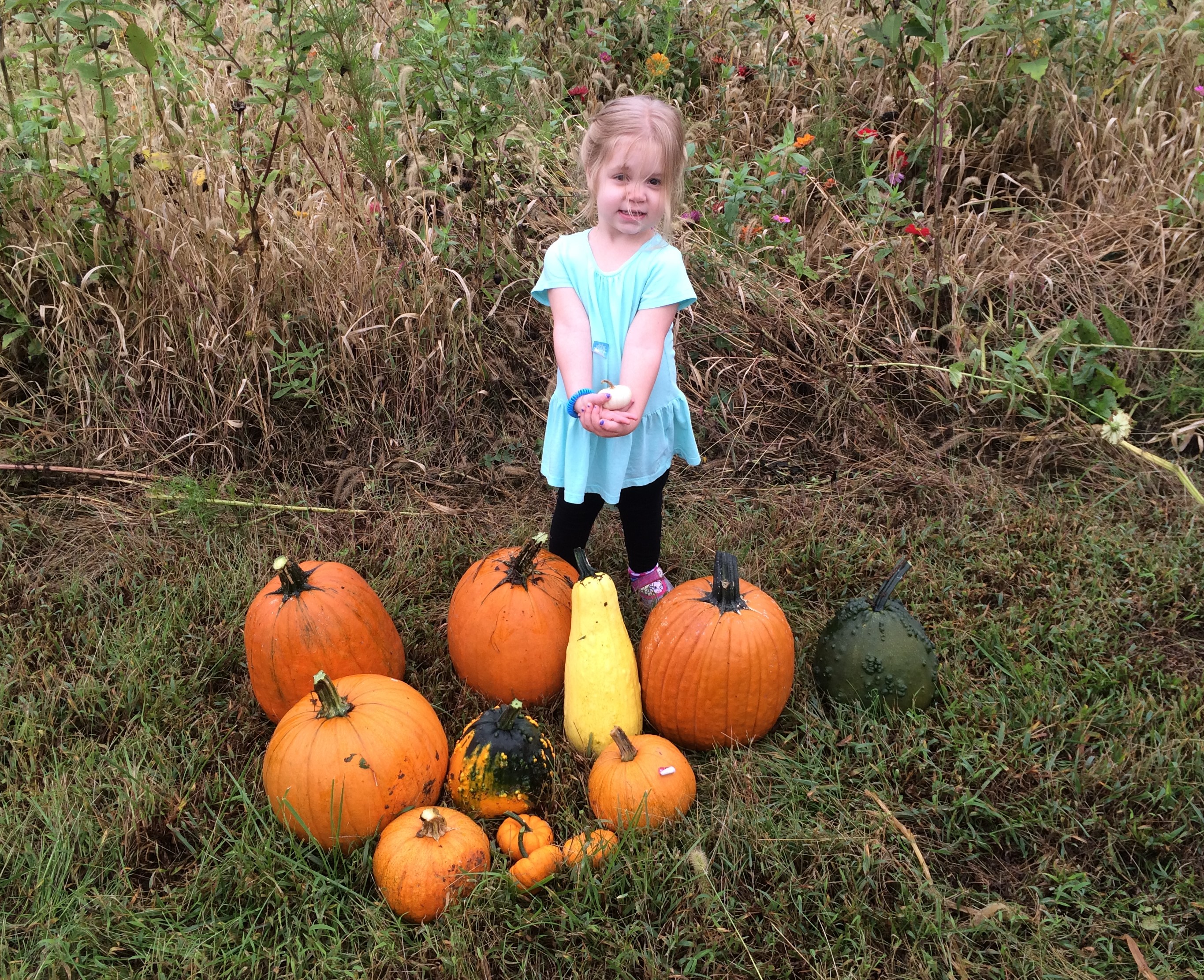 Family farm memory at Hillcrest