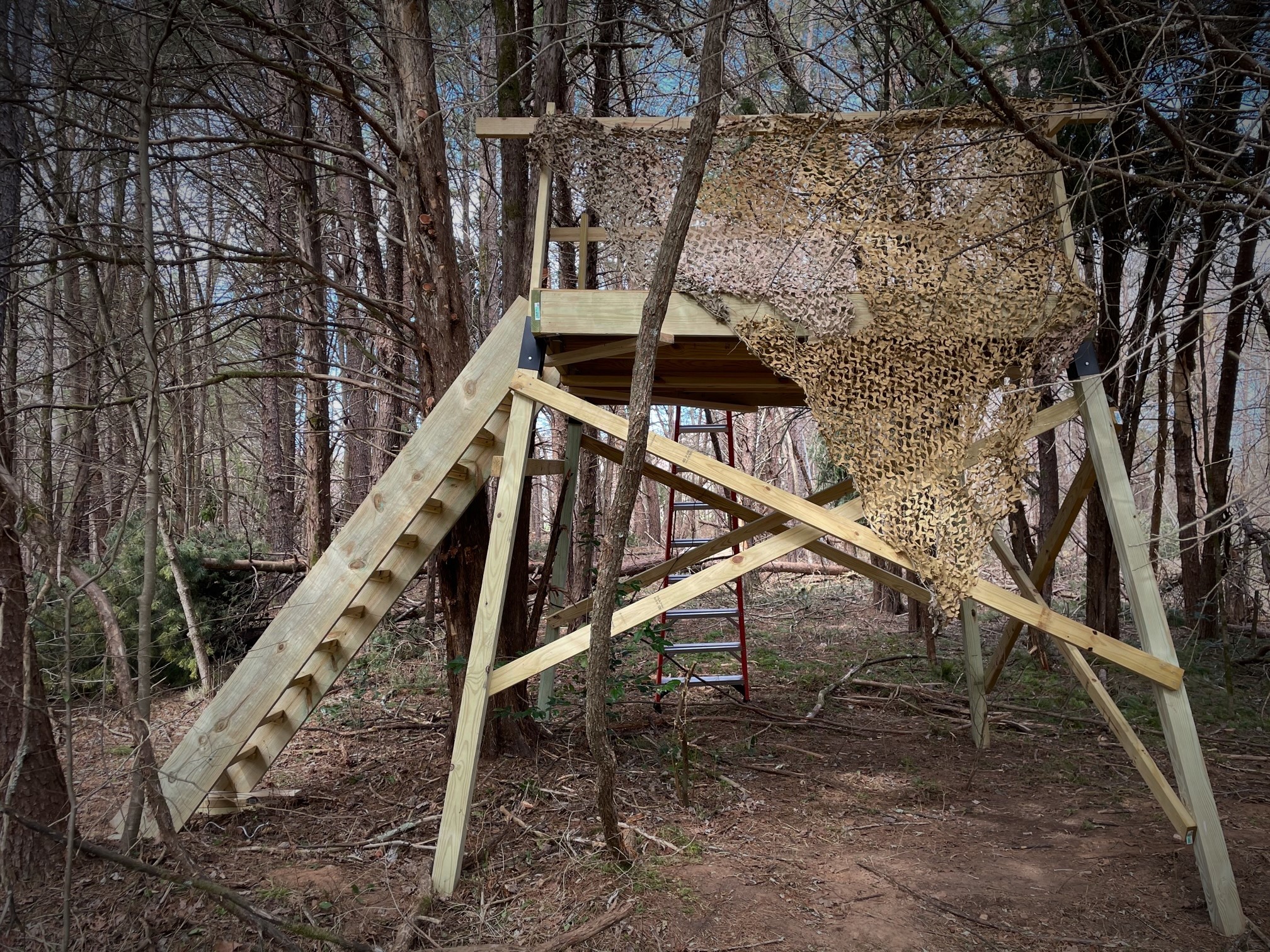 Elevated Hillcrest hunting blind