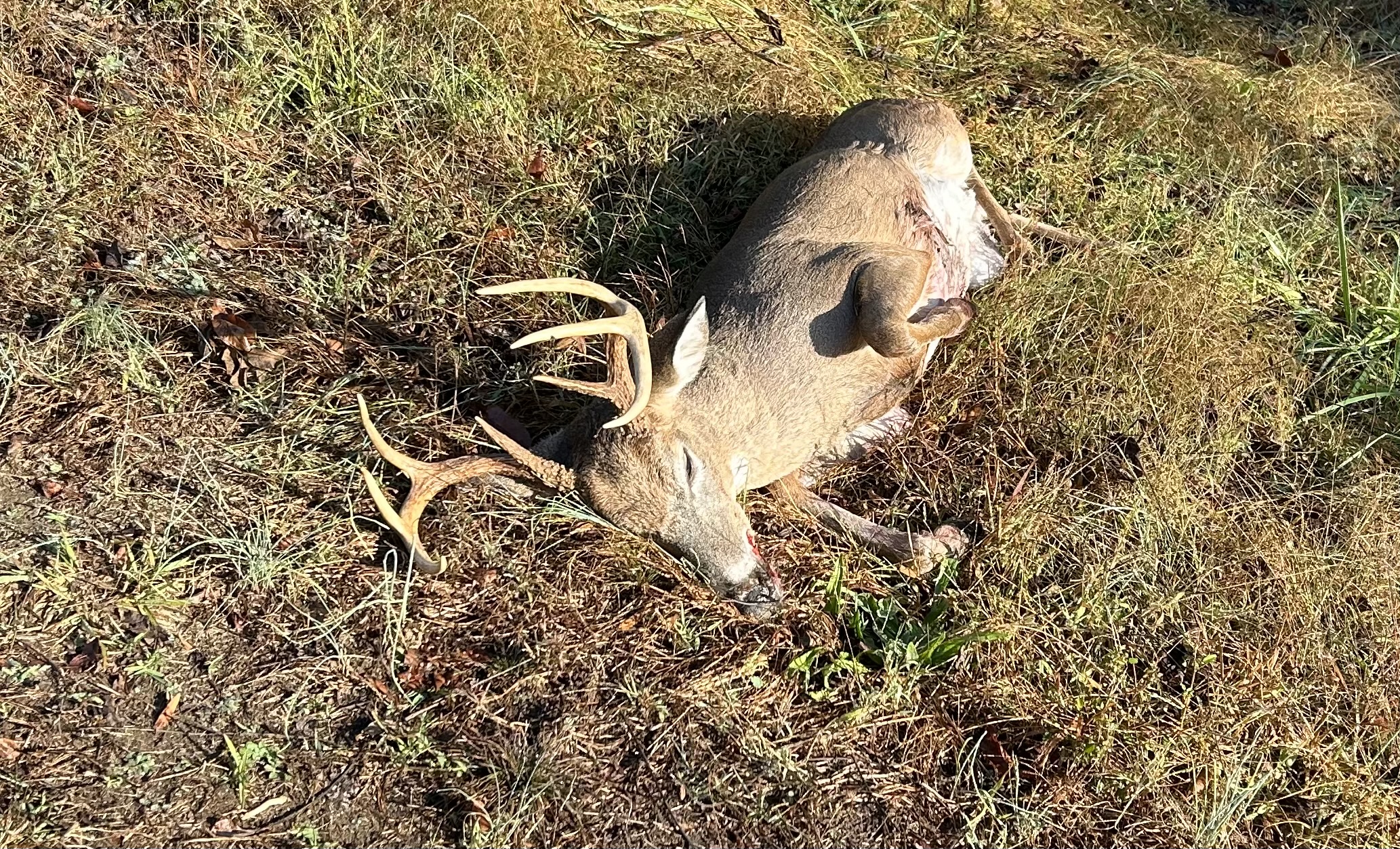 May 2026 hunting photo at Hillcrest