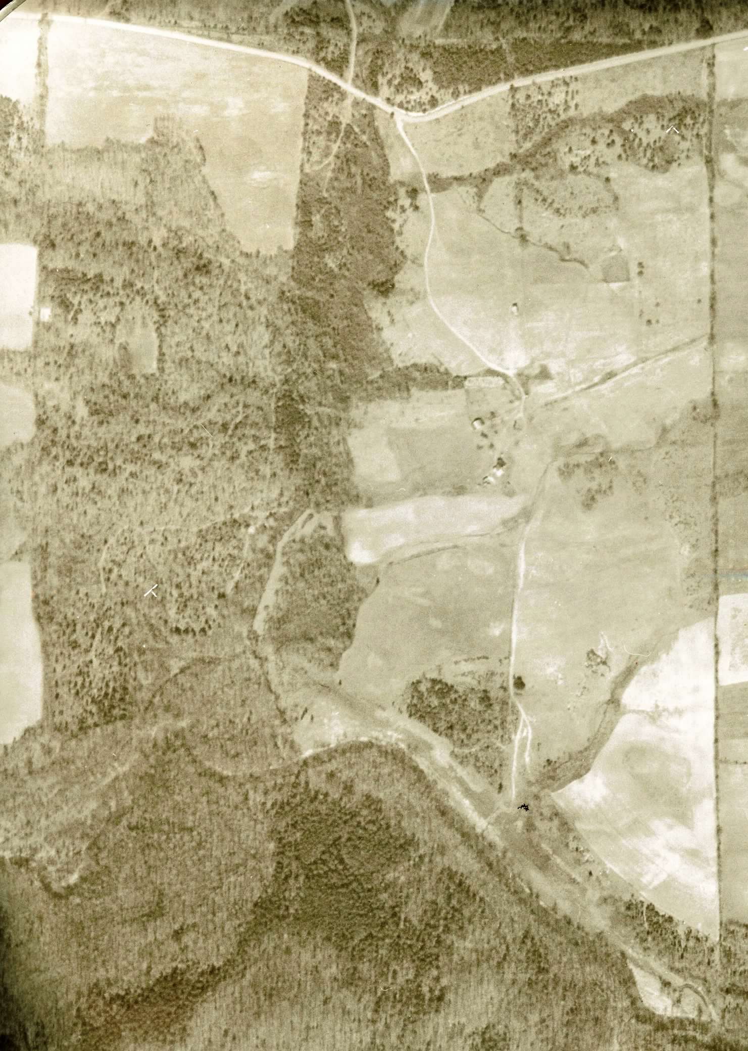Hillcrest aerial photo from 1955