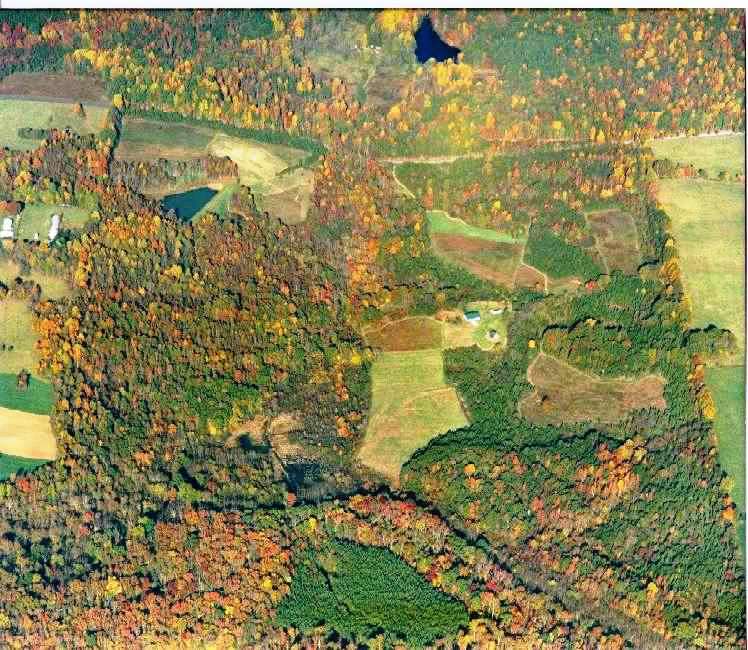 Hillcrest aerial photo from 1999