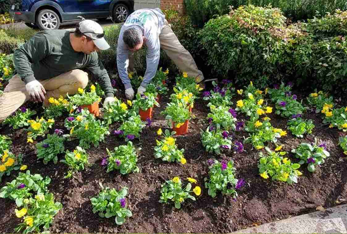 Lawn Care Services in Michigan Landscaping Services