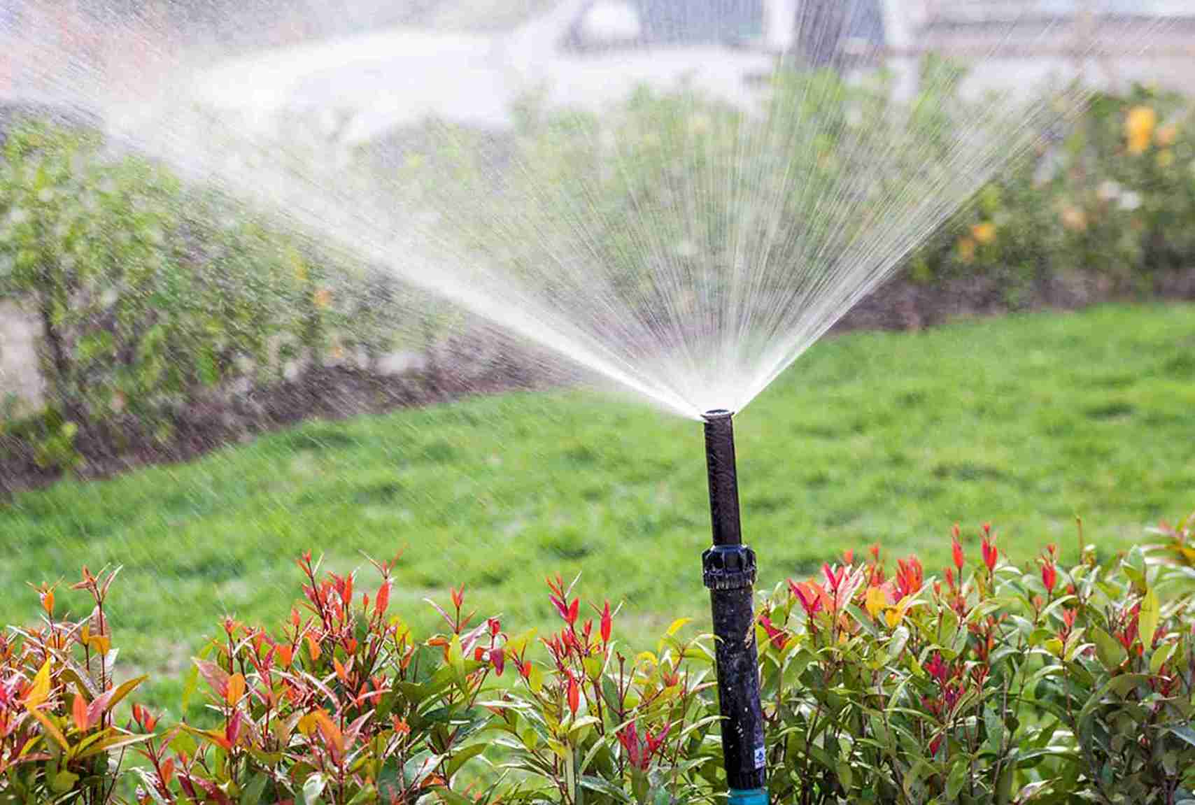 Lawn Care Services in Minnesota Landscaping Services