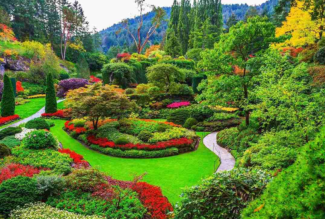 Professional Landscaping Services