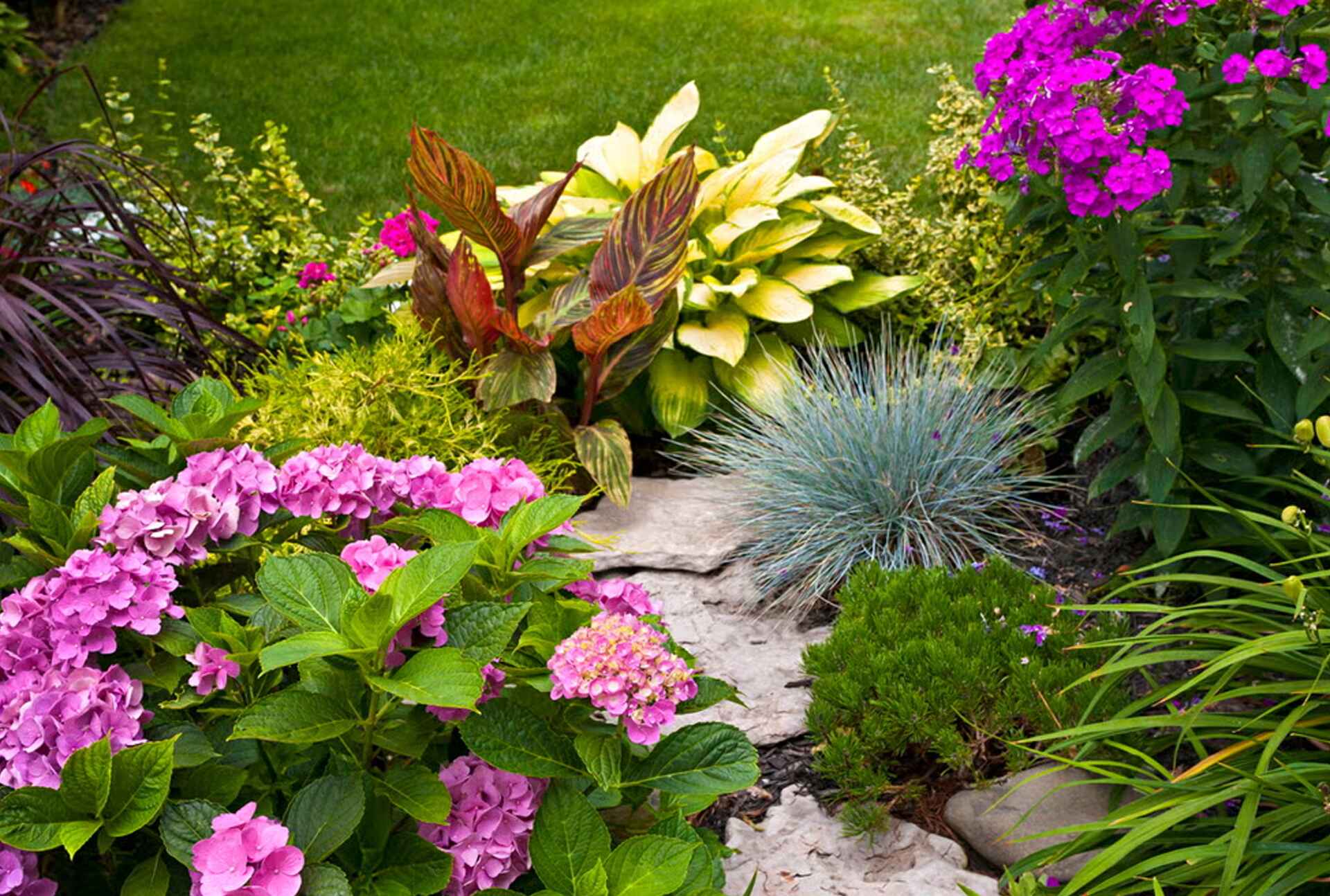 Lawn Care Services in North Carolina Landscaping Services
