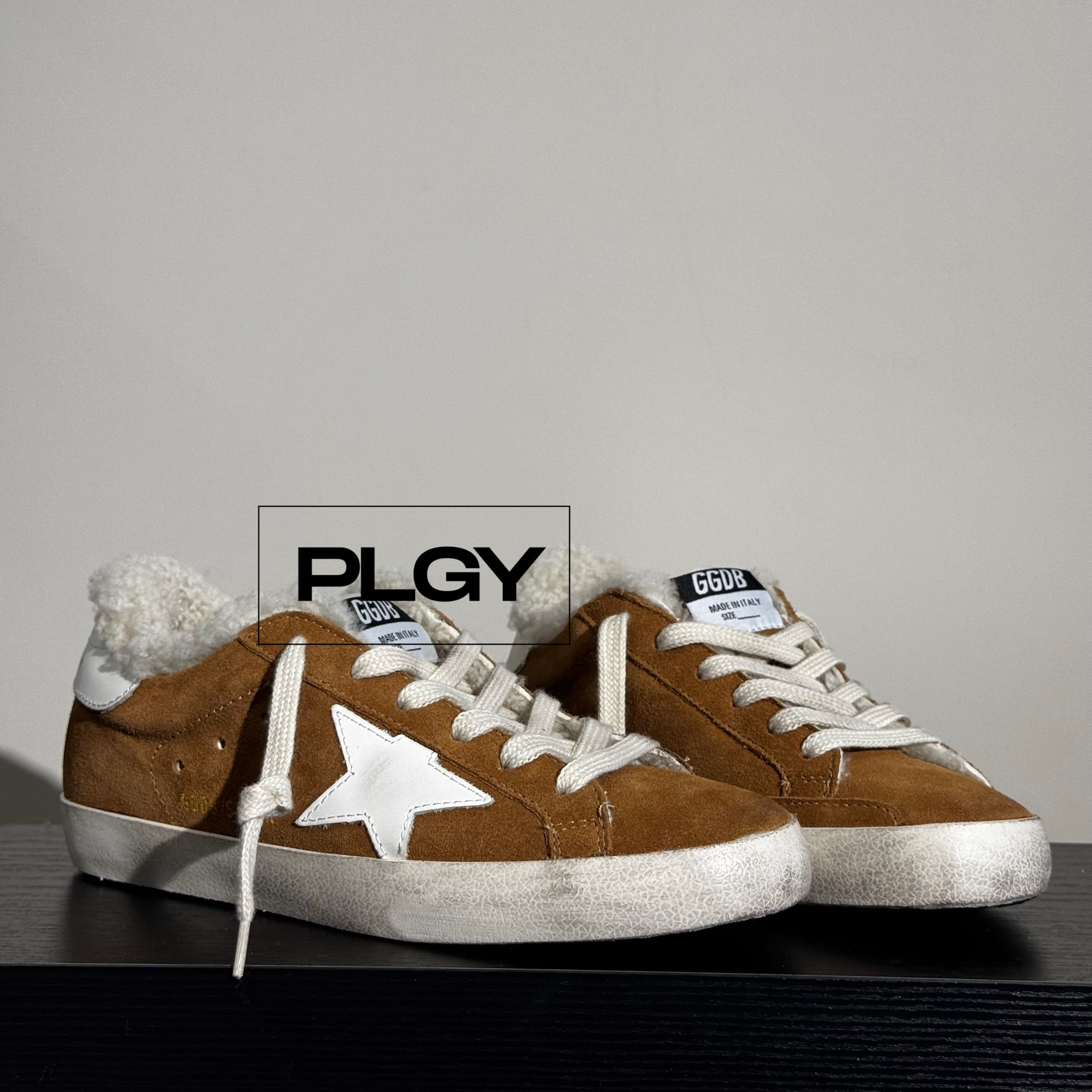 Golden Goose Winter Brown with Fur