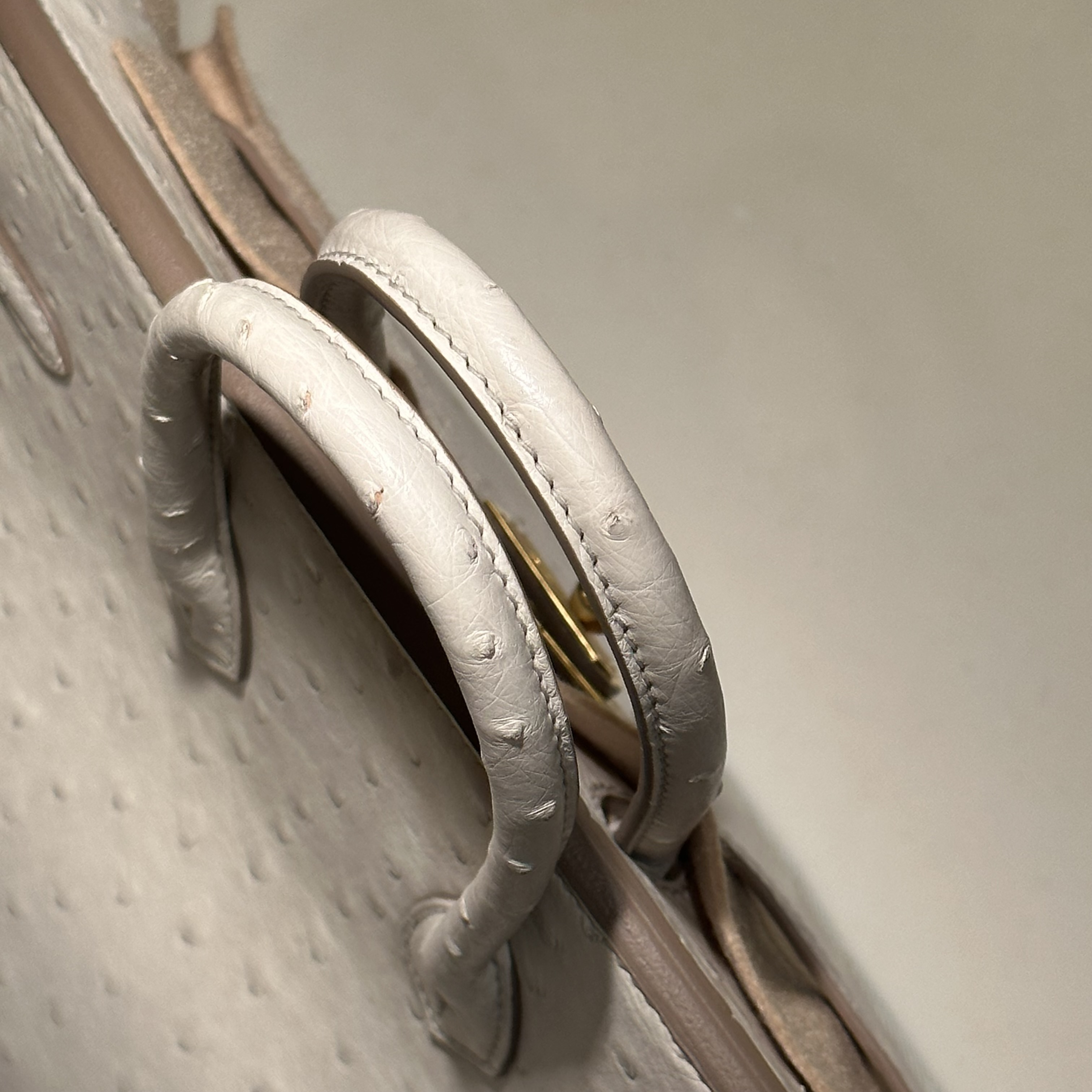 Hermes Birkin 25 Ostrich Leather GHW миниатюра 3