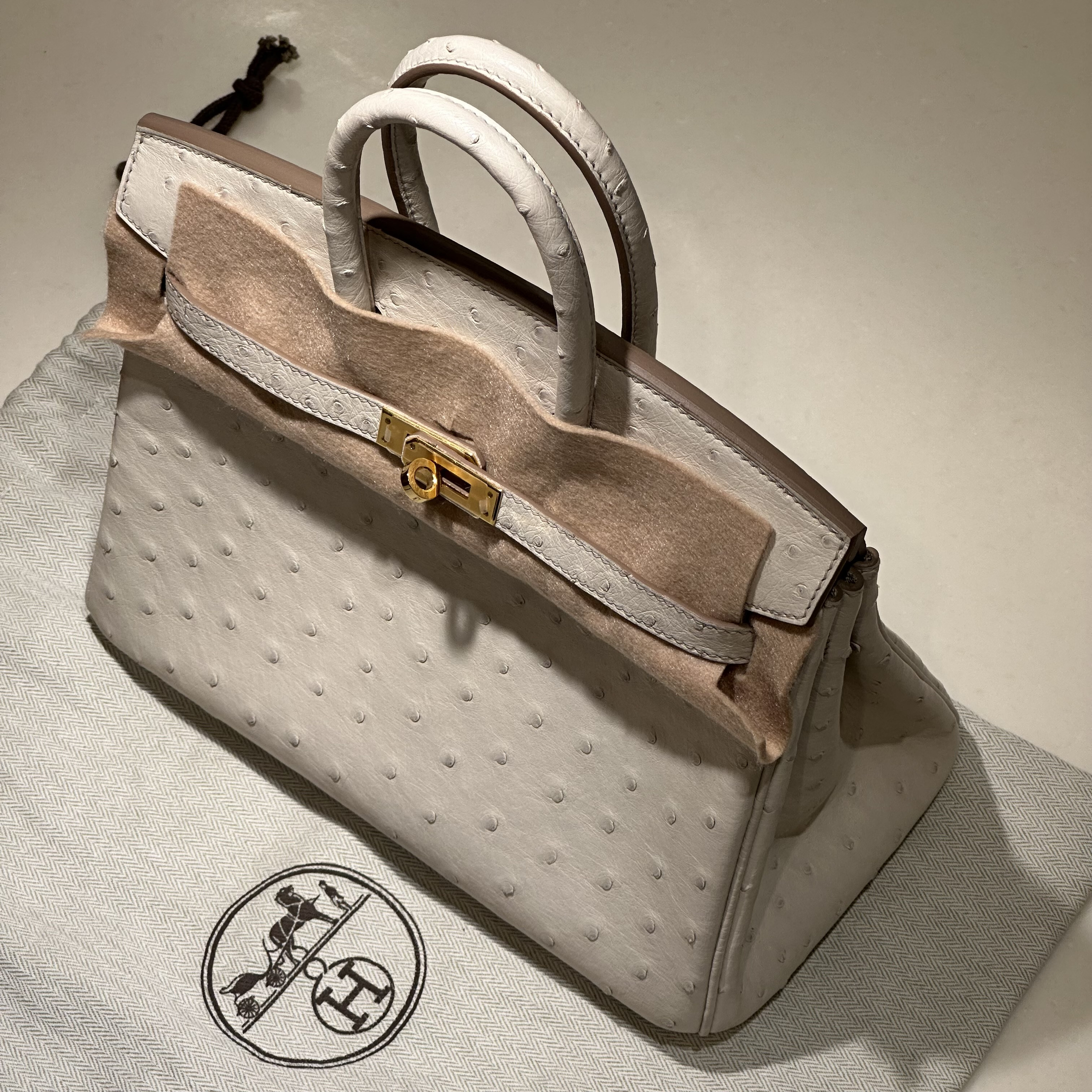 Hermes Birkin 25 Ostrich Leather GHW