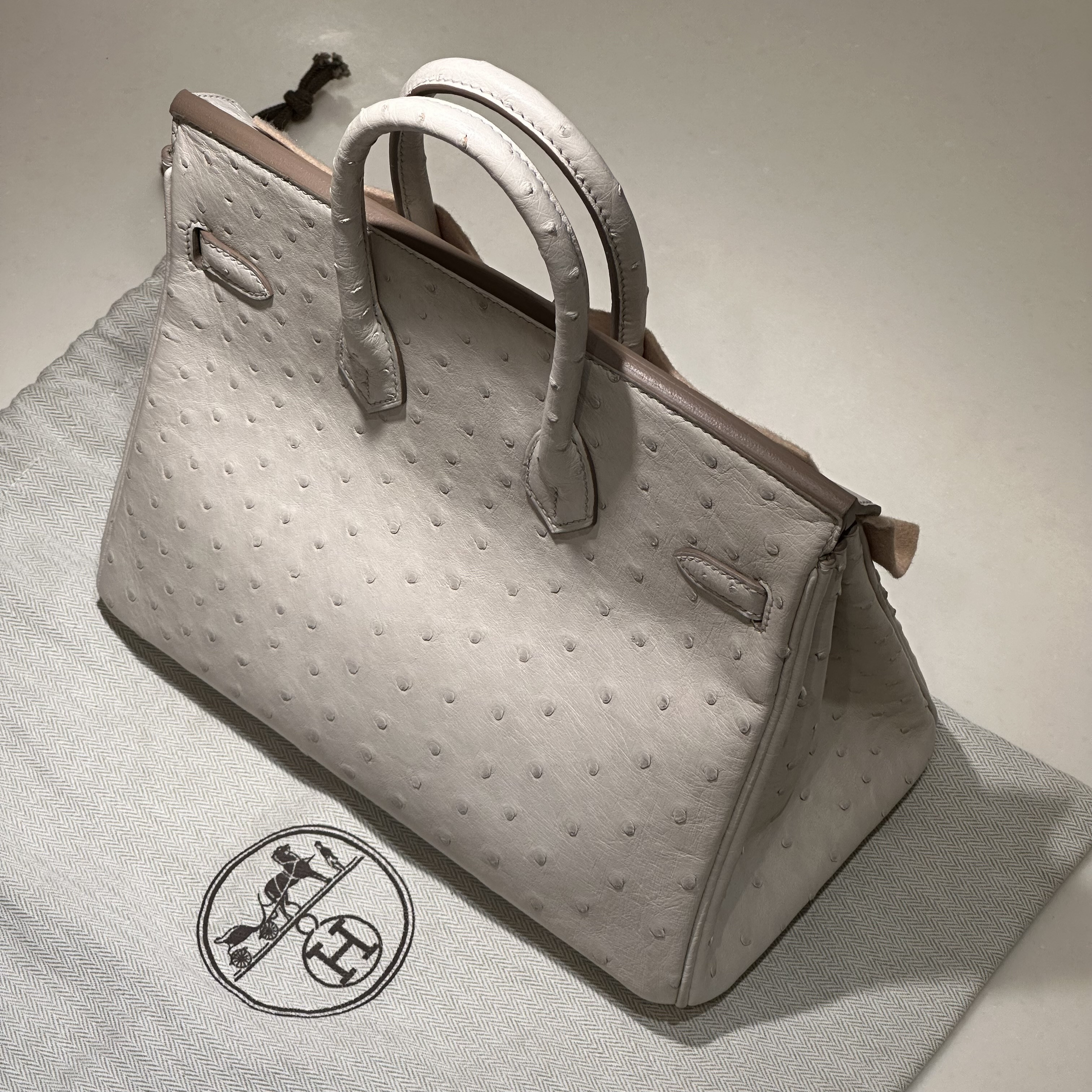 Hermes Birkin 25 Ostrich Leather GHW миниатюра 2