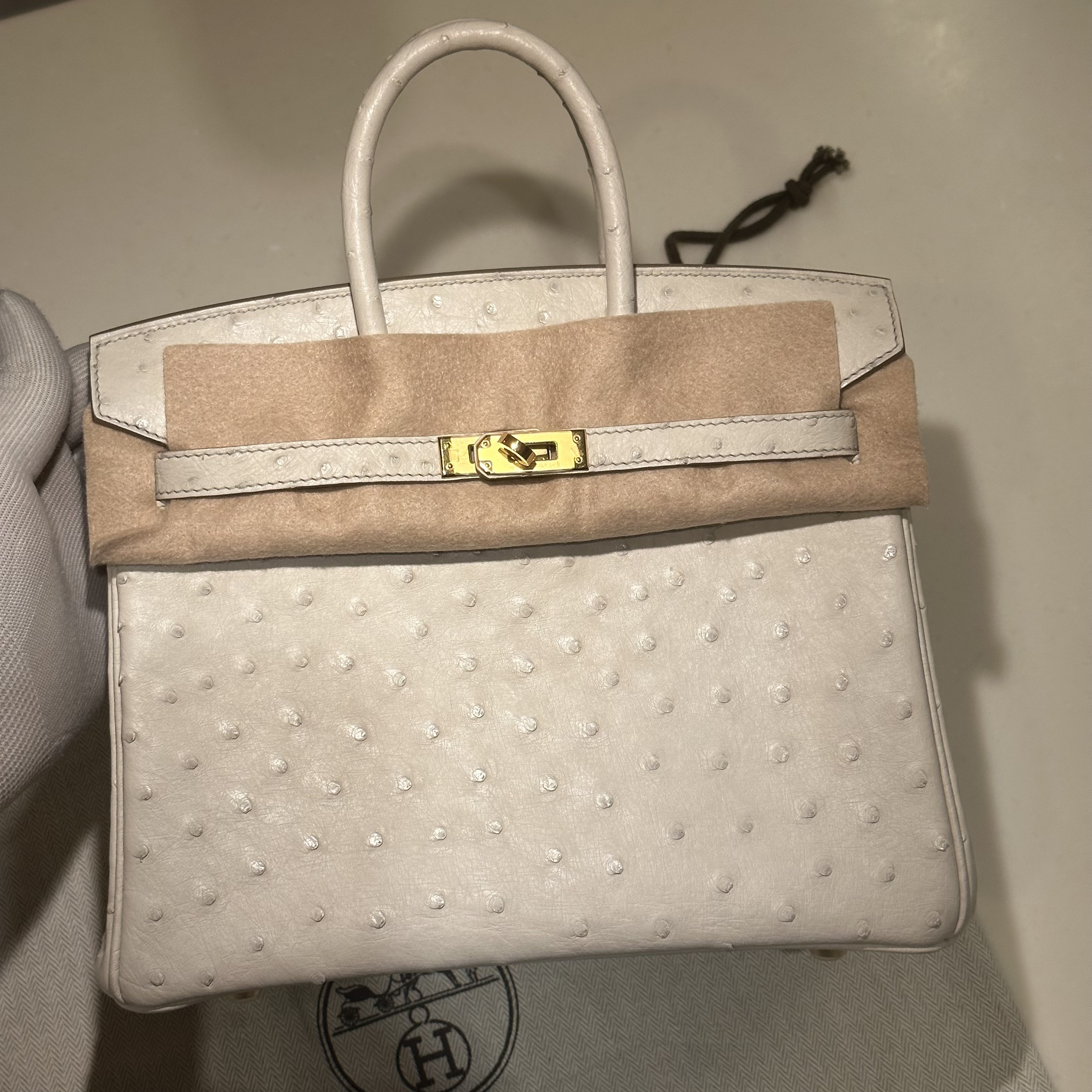 Hermes Birkin 25 Ostrich Leather GHW миниатюра 4