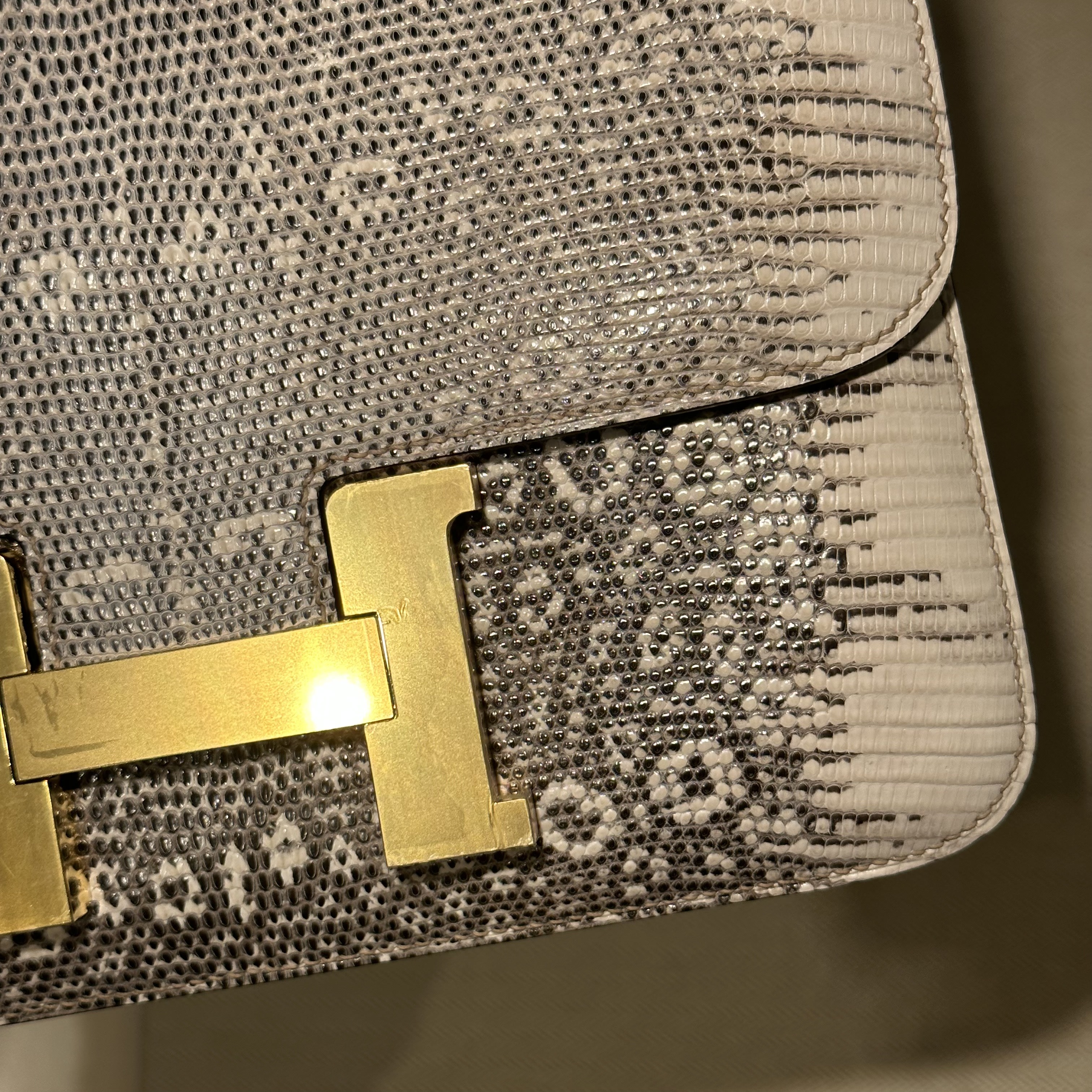 Hermes Constance 24 cm Lizard Ombré Leather GHW миниатюра 5