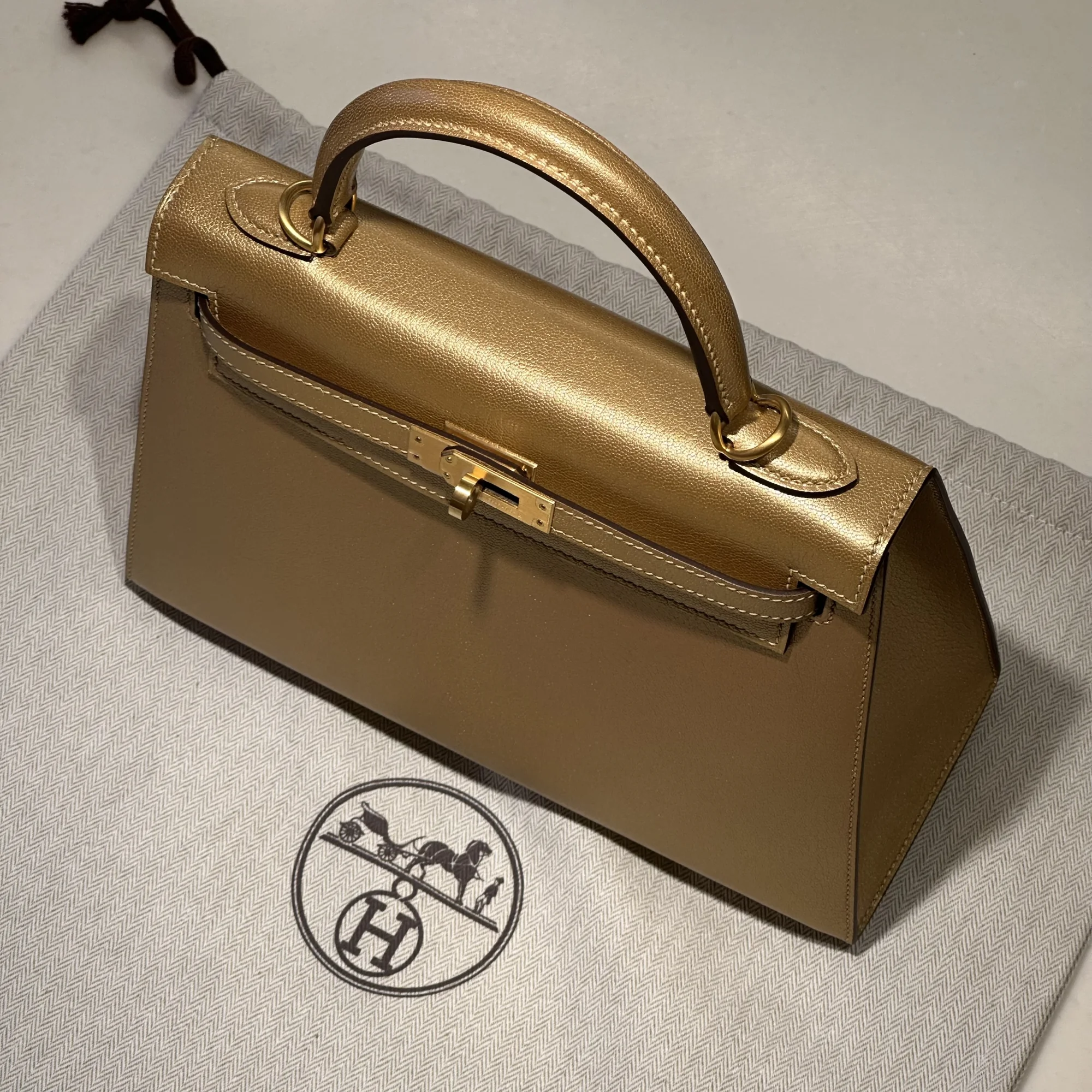 Hermes Kelly 25 Metallic Chèvre Leather PHW