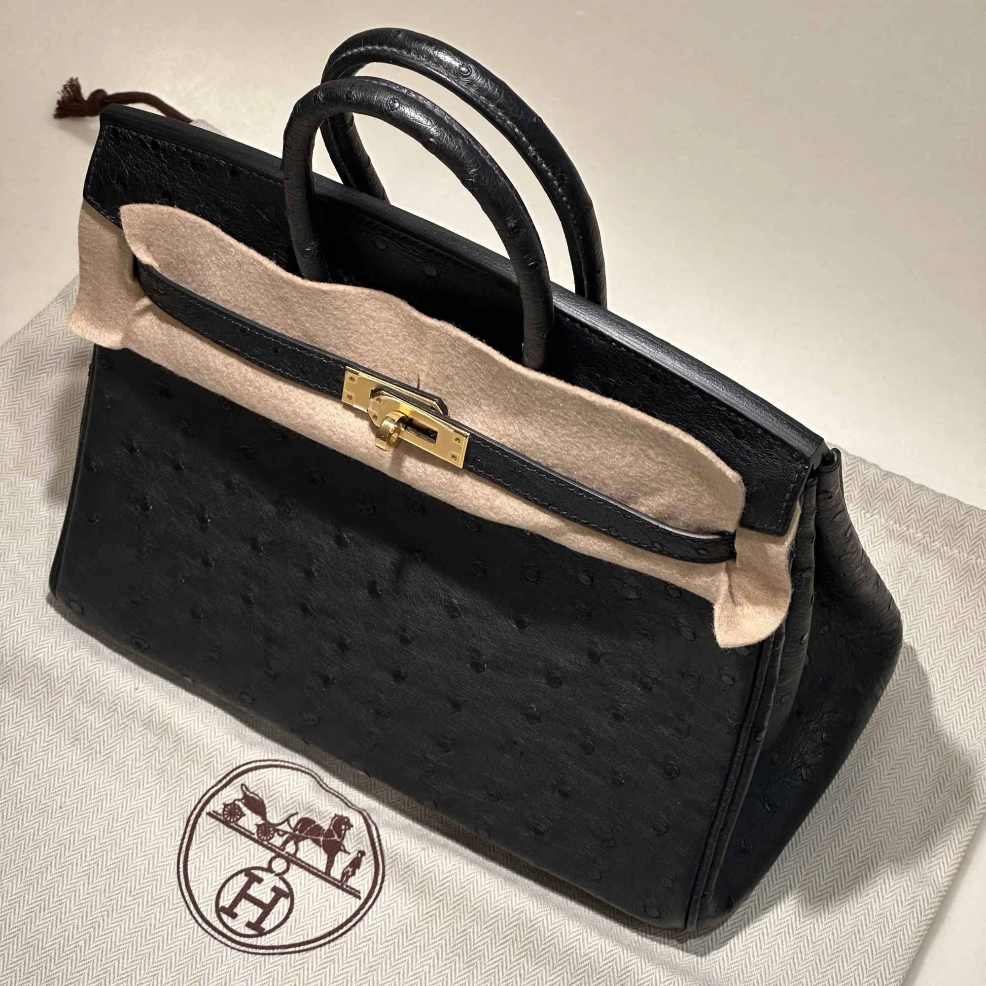 Hermes Birkin 25 cm Ostrich Leather Black