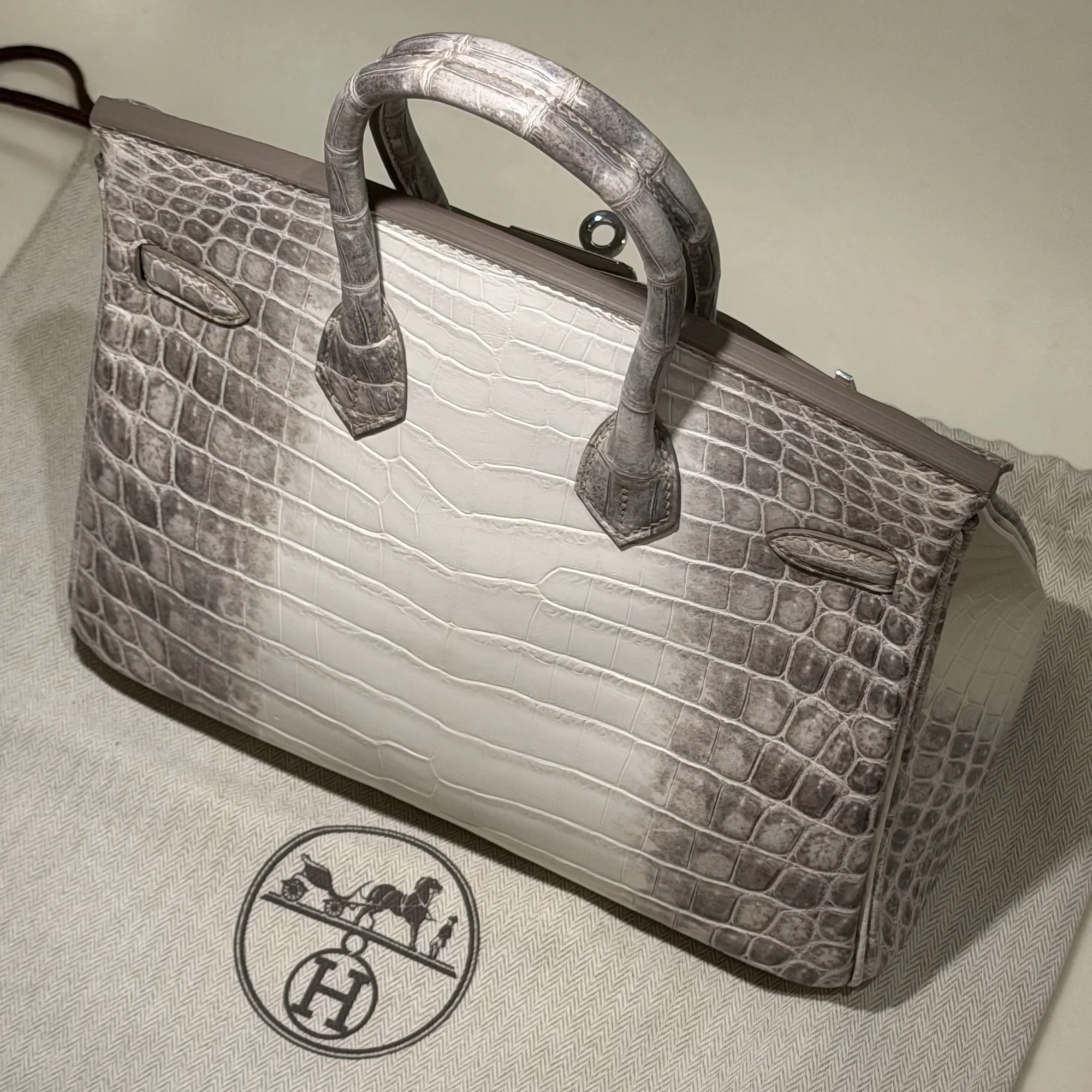 Hermes Birkin 25 Himalaya Crocodile Leather PHW миниатюра 10