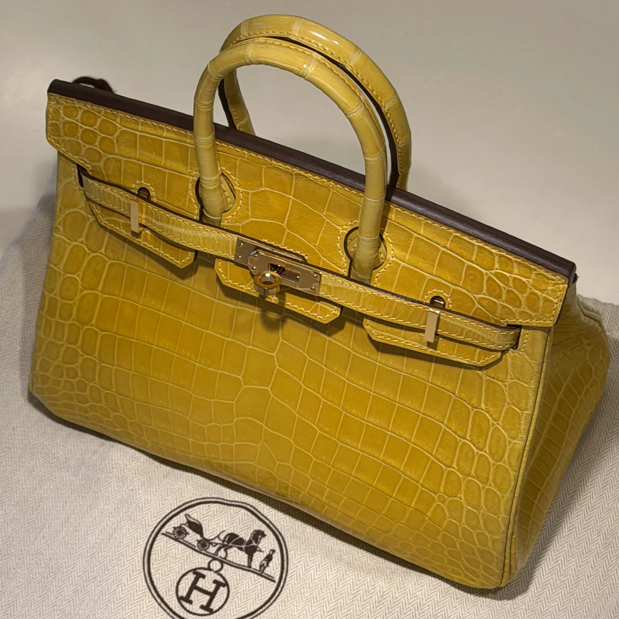 Hermes Birkin 25 Crocodile Niloticus GHW