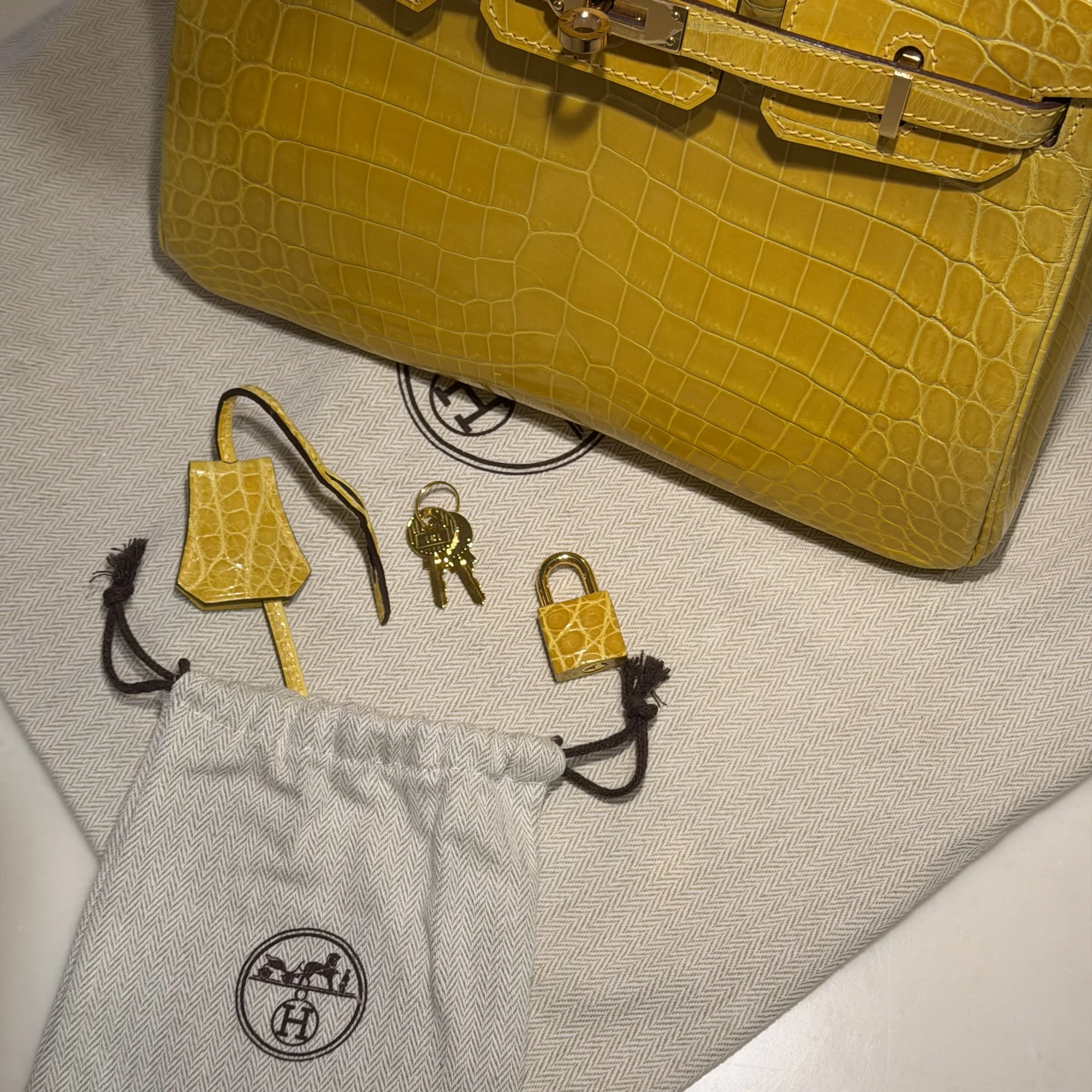 Hermes Birkin 25 Crocodile Niloticus GHW миниатюра 6