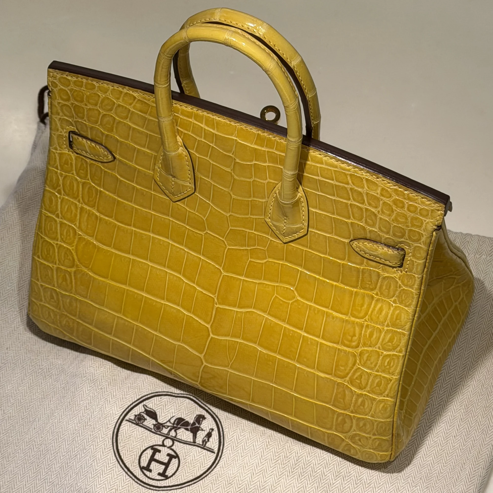 Hermes Birkin 25 Crocodile Niloticus GHW миниатюра 10