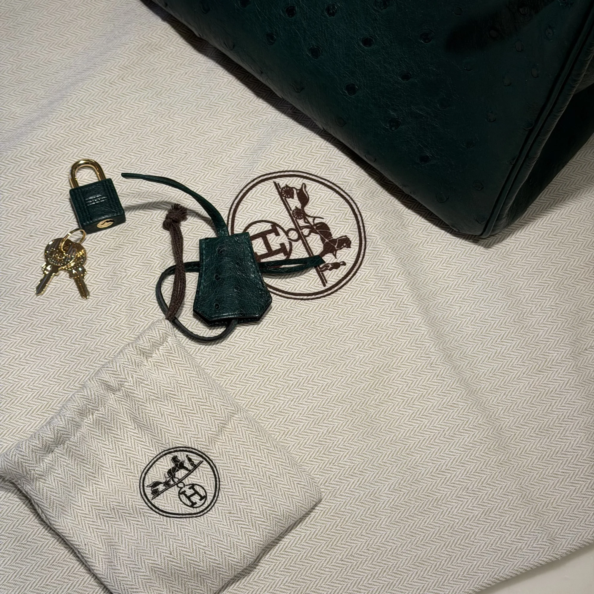 Hermes Birkin 25 Ostrich Leather GHW миниатюра 2