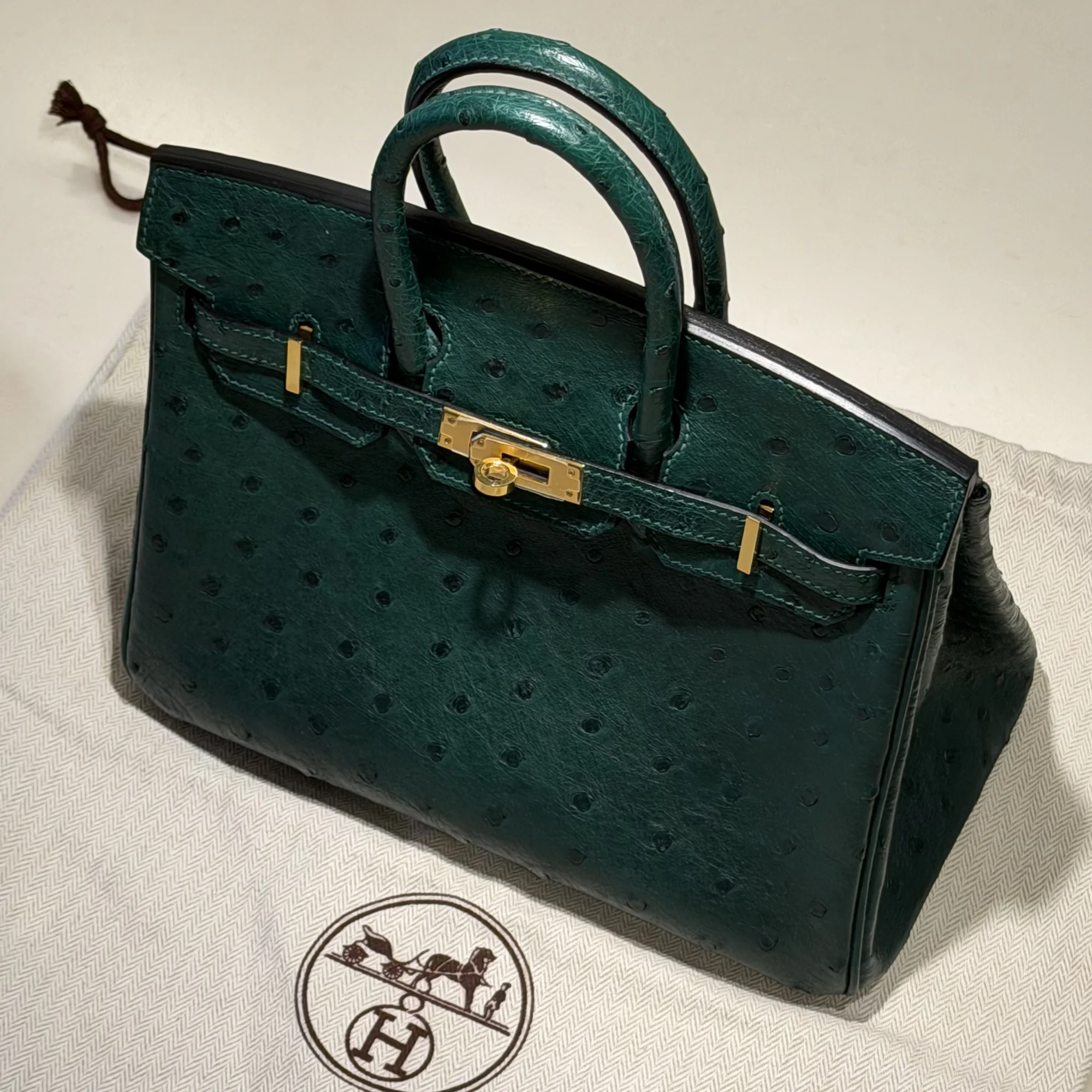 Hermes Birkin 25 Ostrich Leather GHW