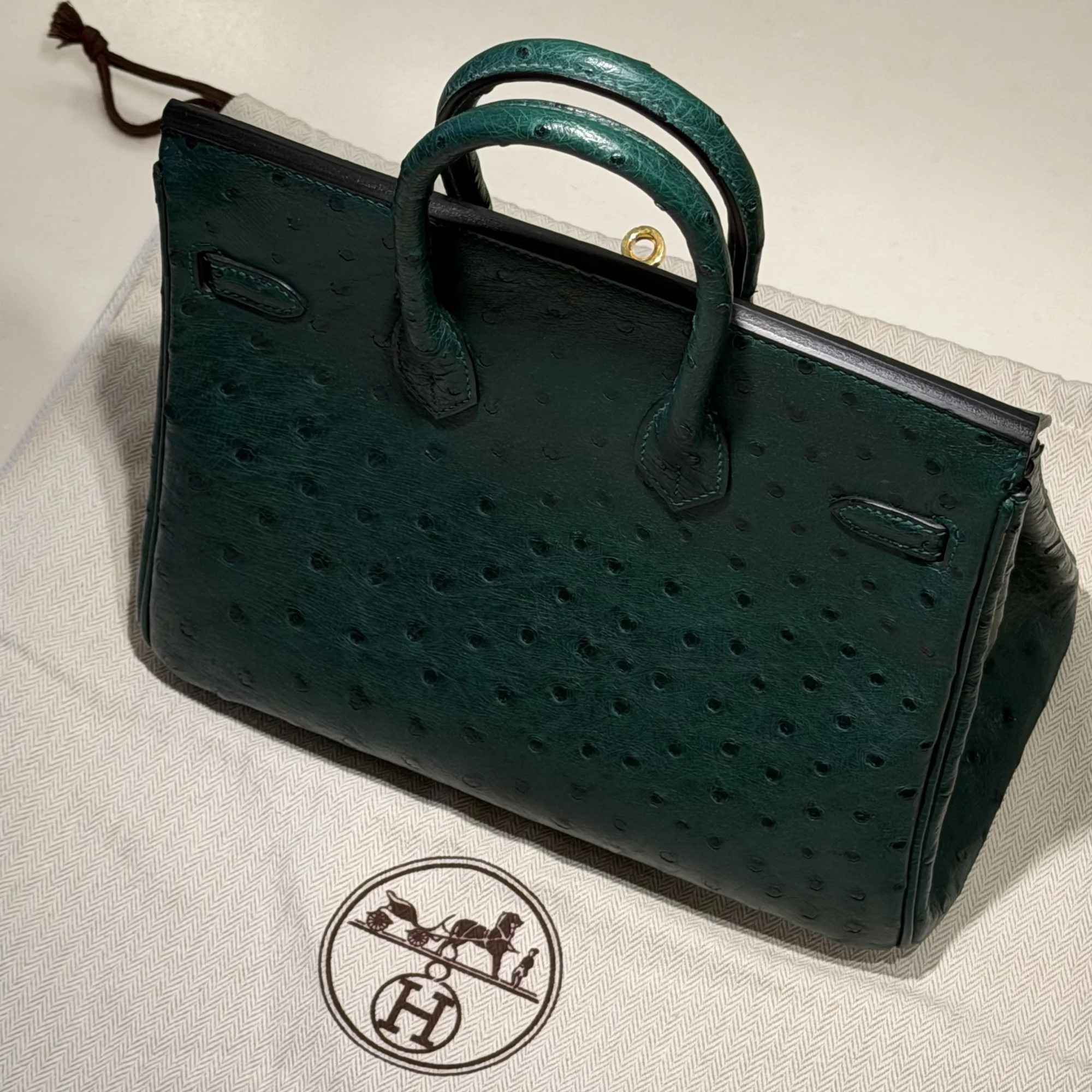 Hermes Birkin 25 Ostrich Leather GHW миниатюра 10