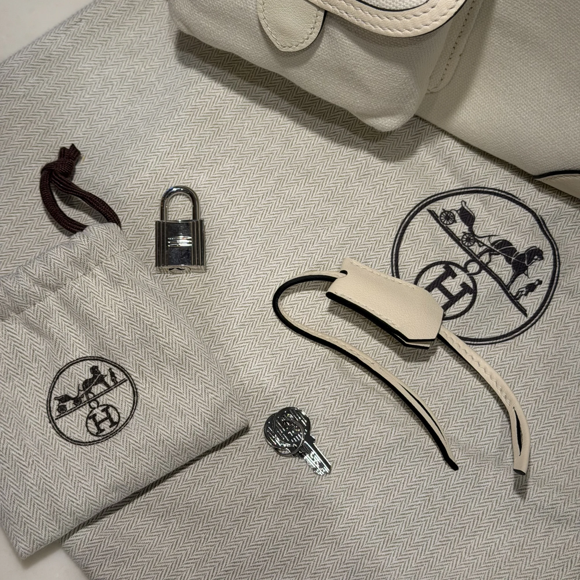 Hermes Birkin 25 Cargo Swift Toile Leather PHW миниатюра 3